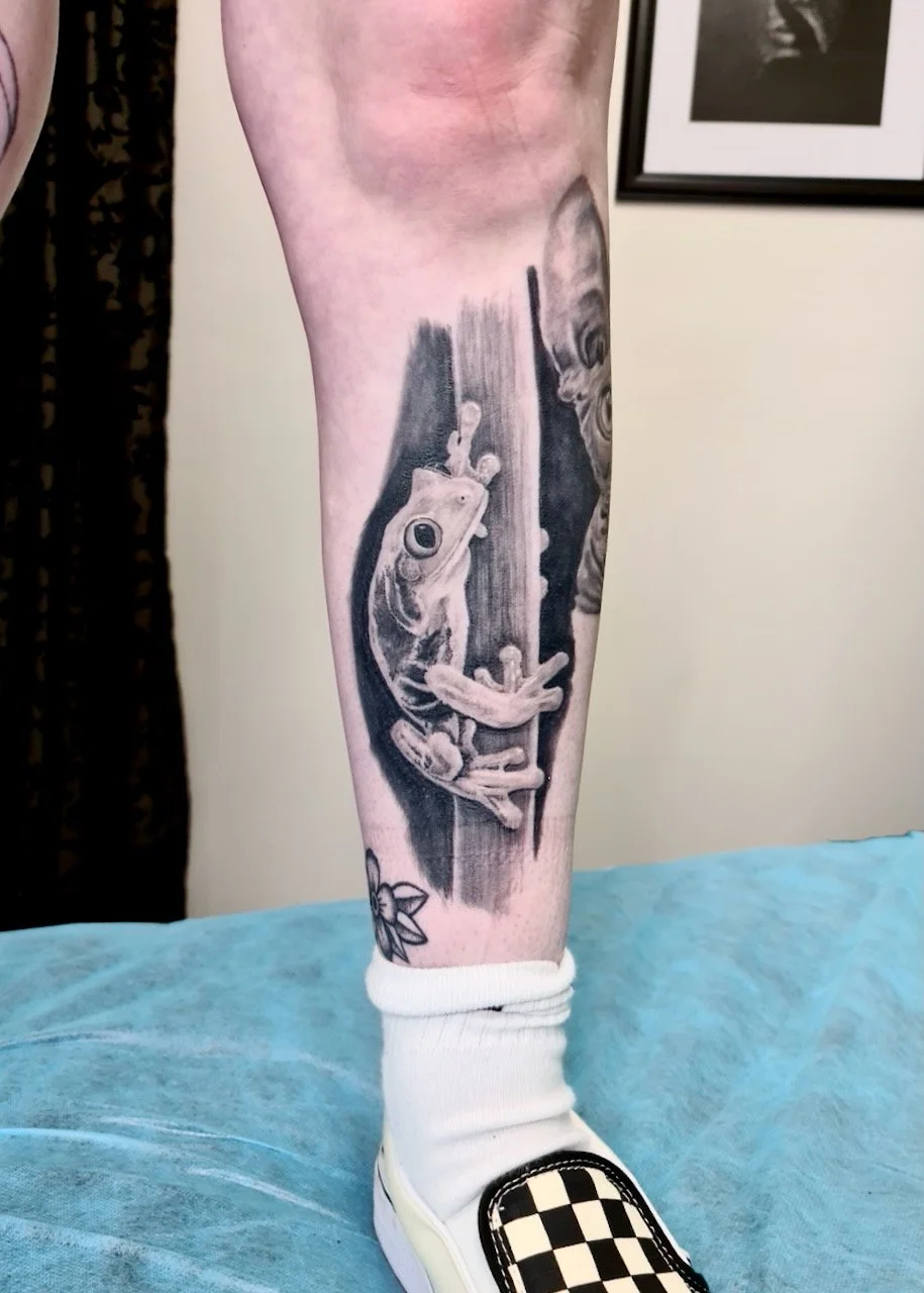 Ink By JW, Animals, Tattoo Wellington - 11.jpeg