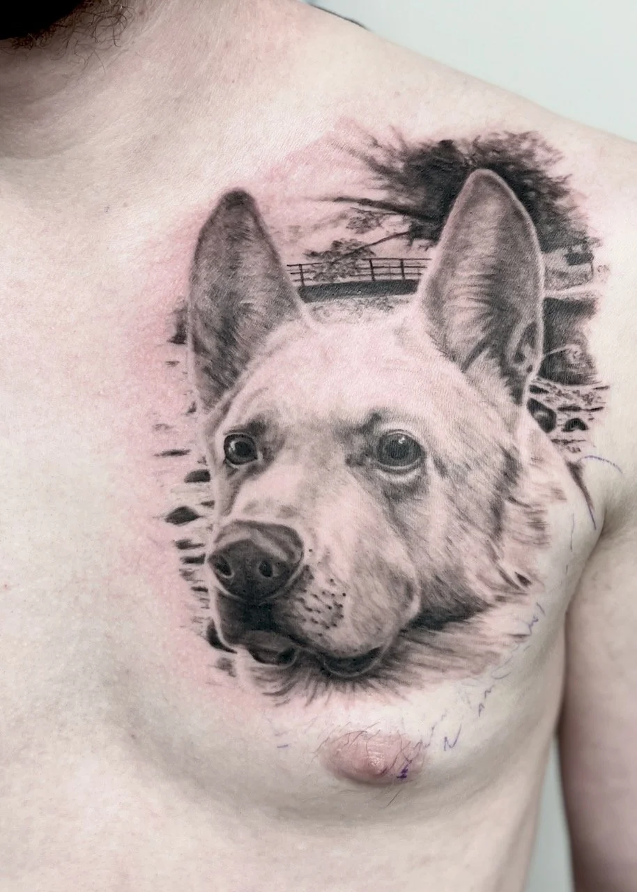 Ink By JW, Animals, Tattoo Wellington - 16.jpeg