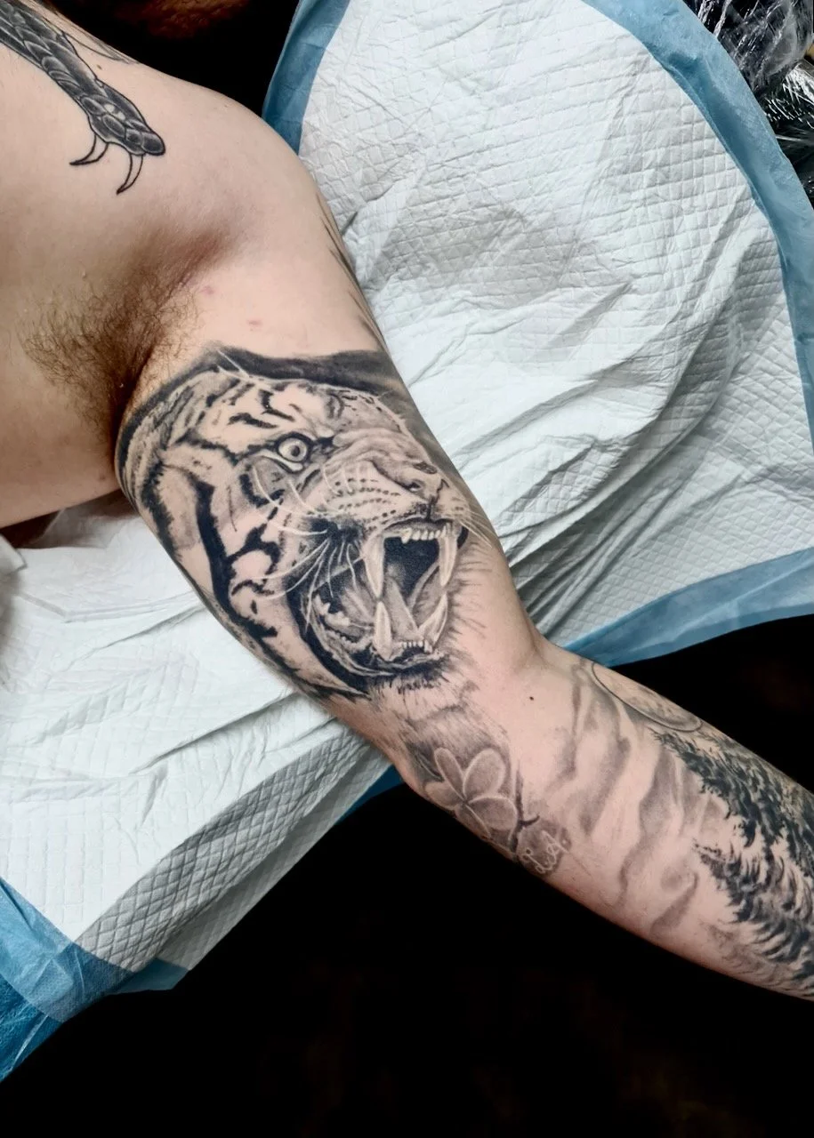 Ink By JW, Animals, Tattoo Wellington - 15.jpeg