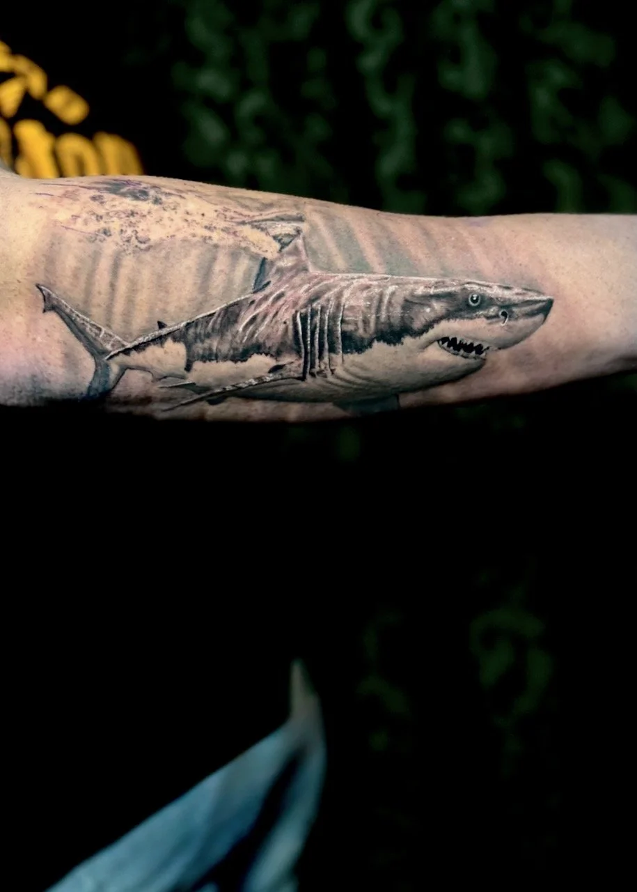 Ink By JW, Animals, Tattoo Wellington - 7.jpeg