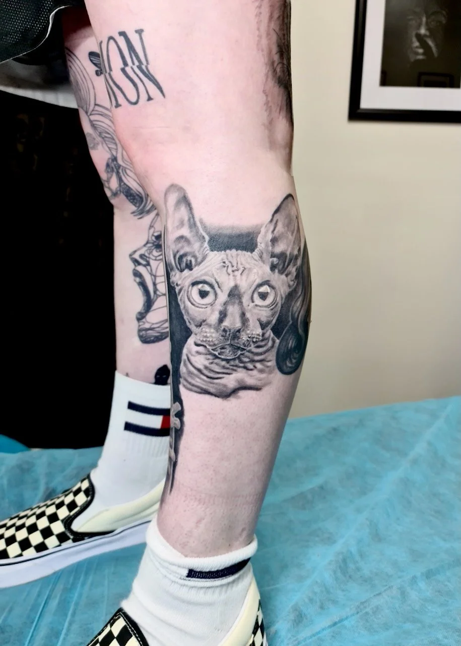 Ink By JW, Animals, Tattoo Wellington - 12.jpeg