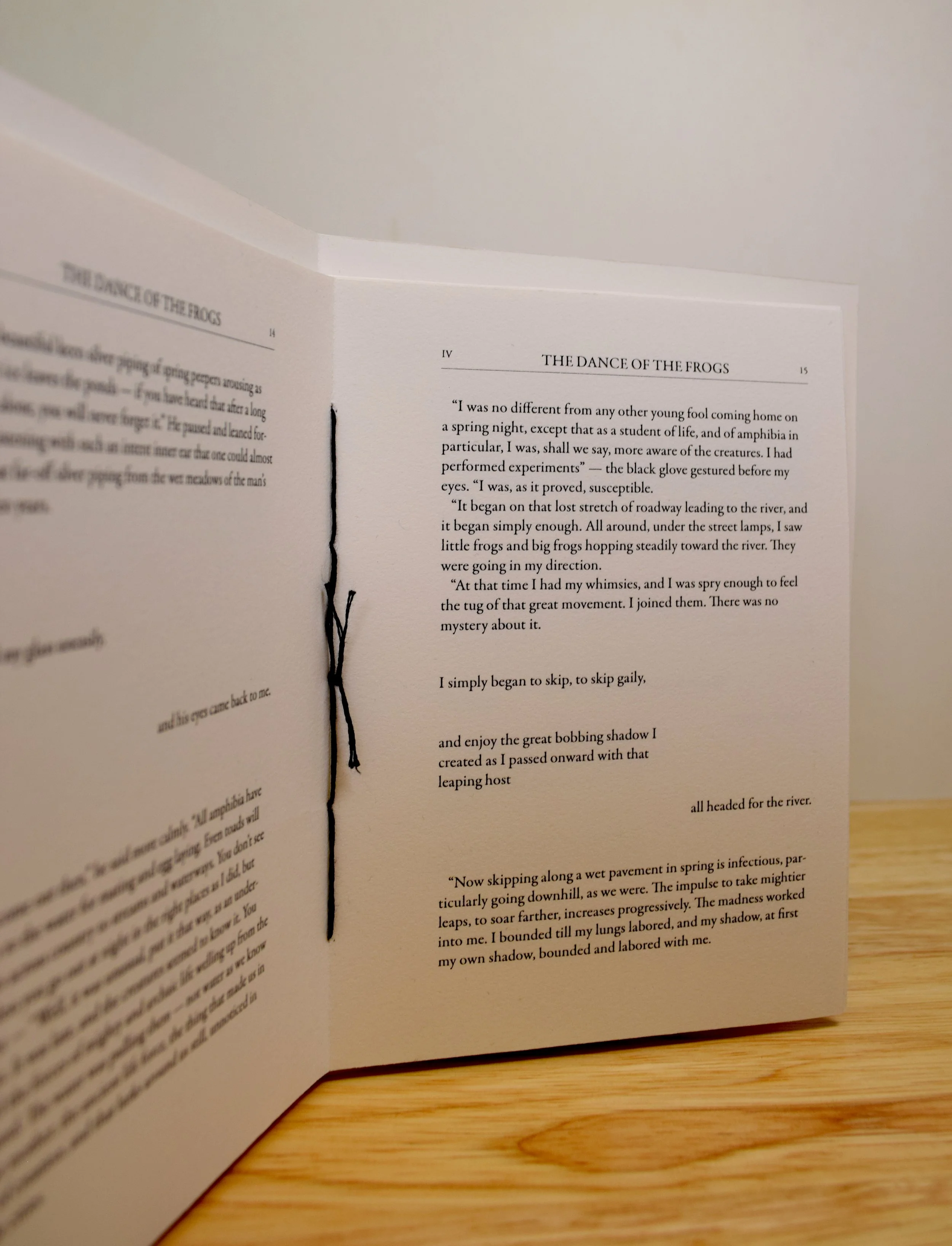 "The Dance of the Frogs" Booklet