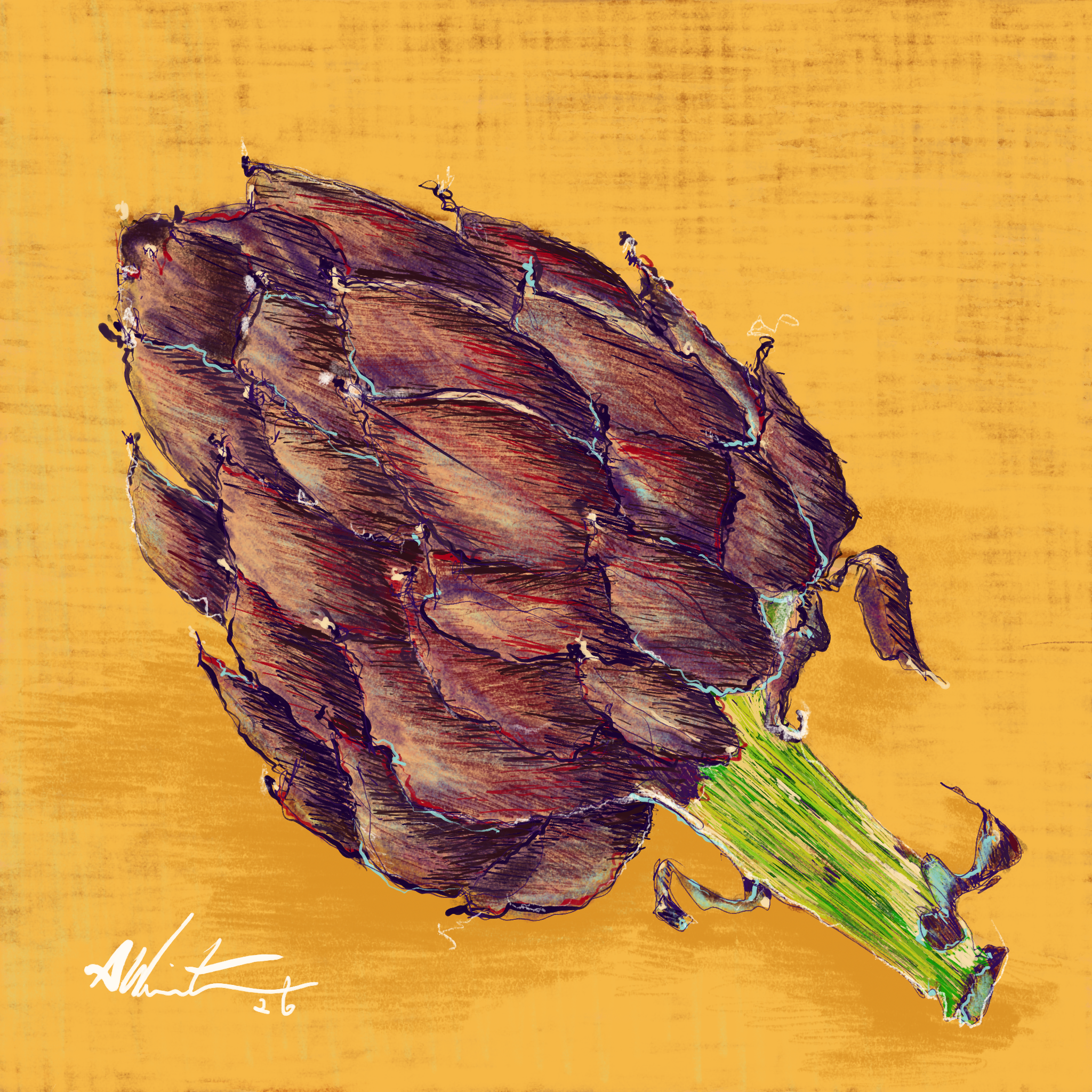 Artichoke 2