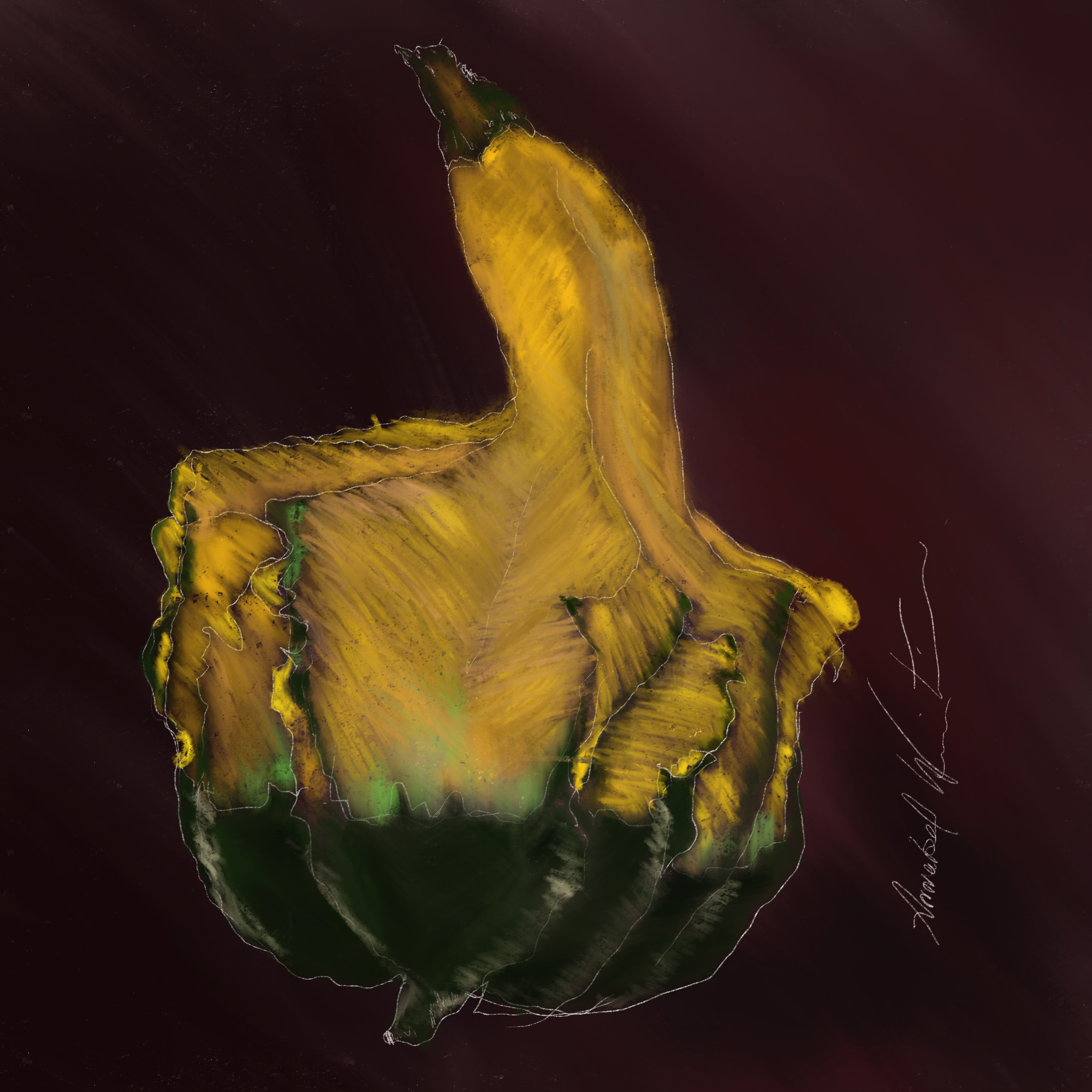 Yellow Gourd