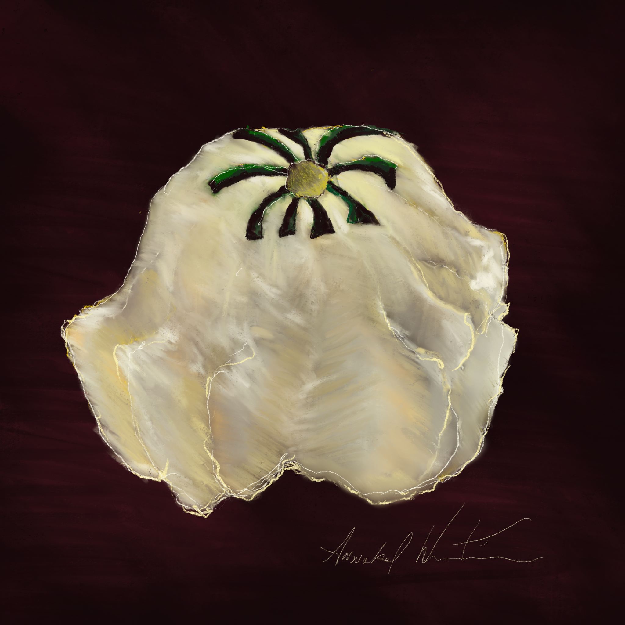 White Gourd