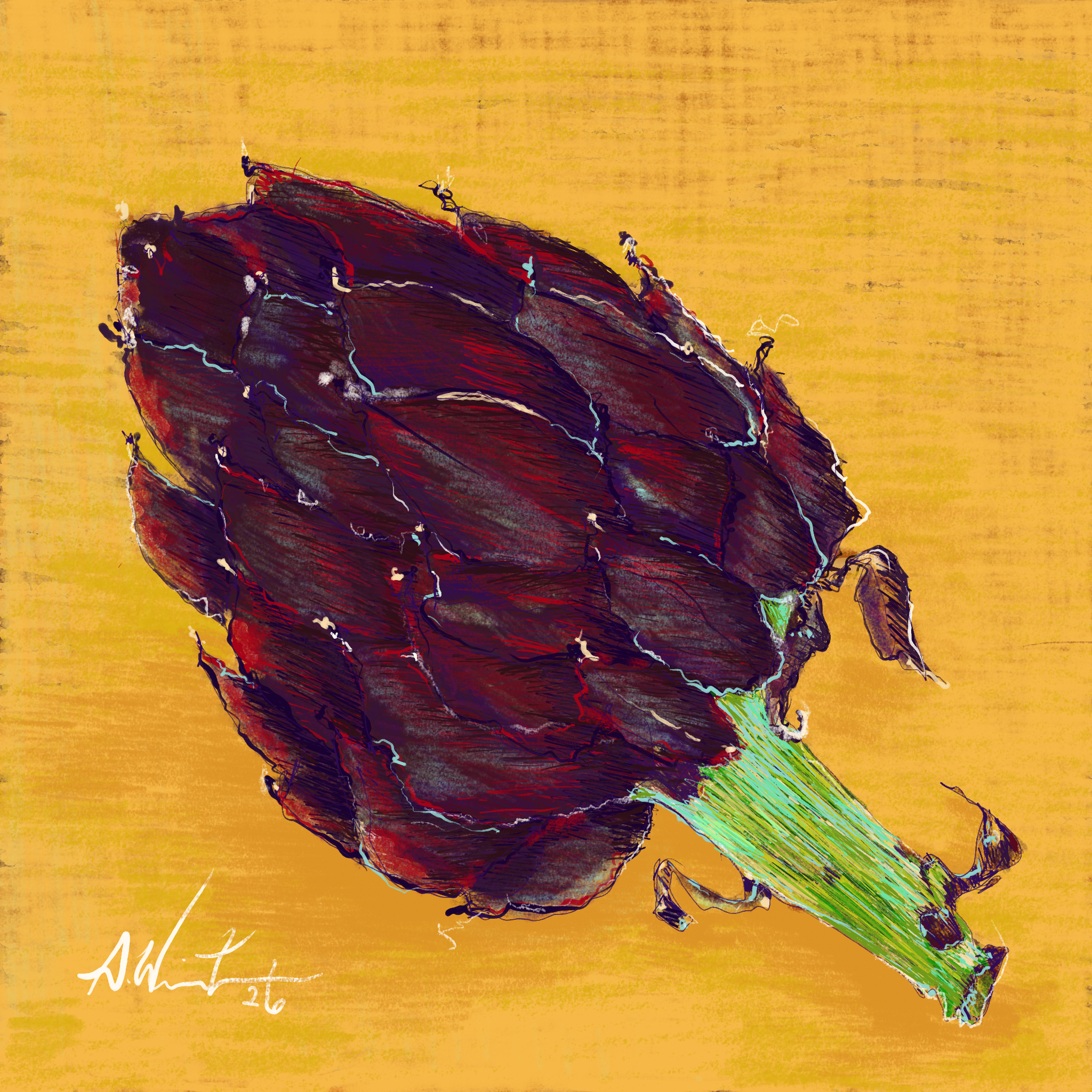 Artichoke 1