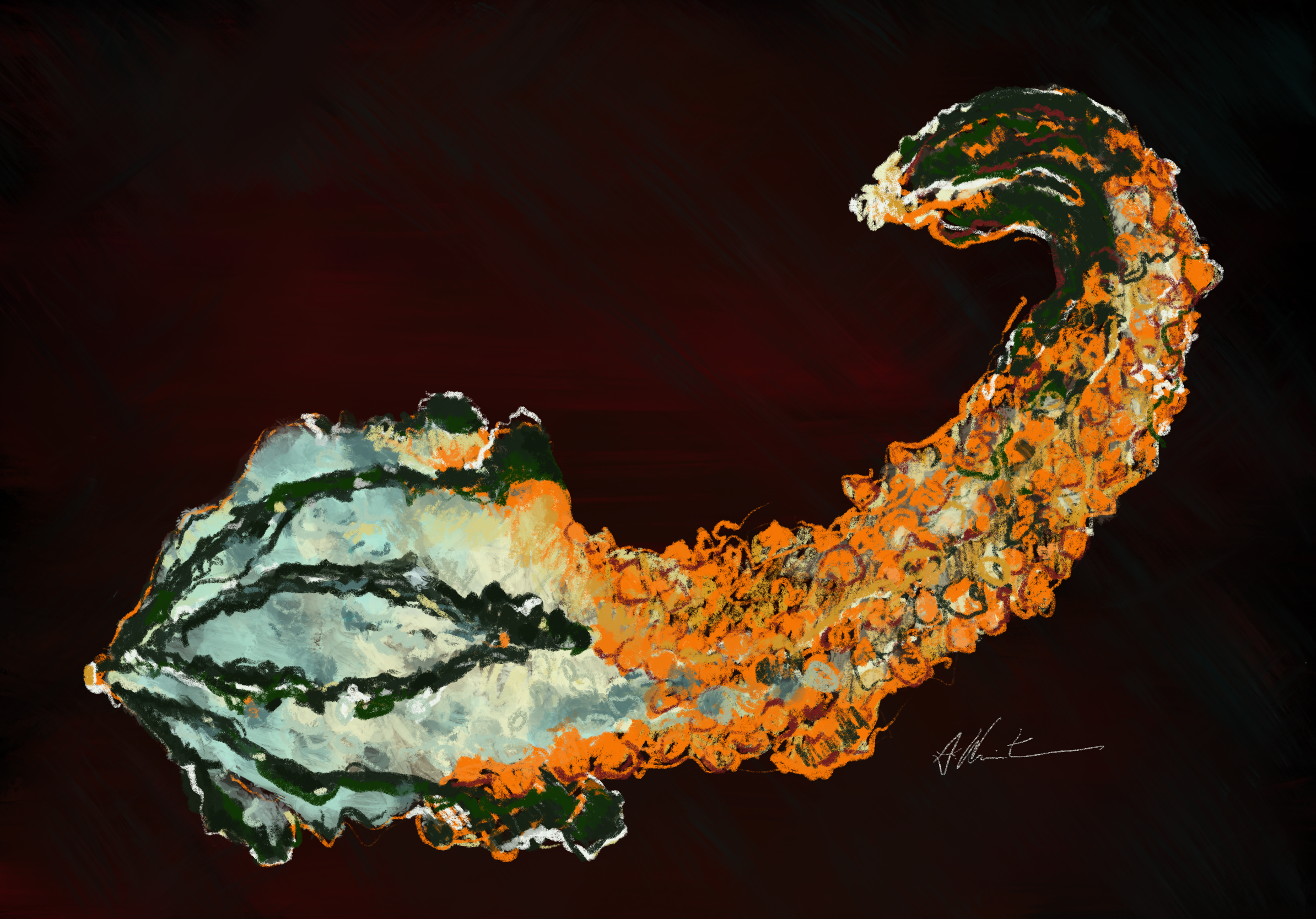 Ornamental Gourd