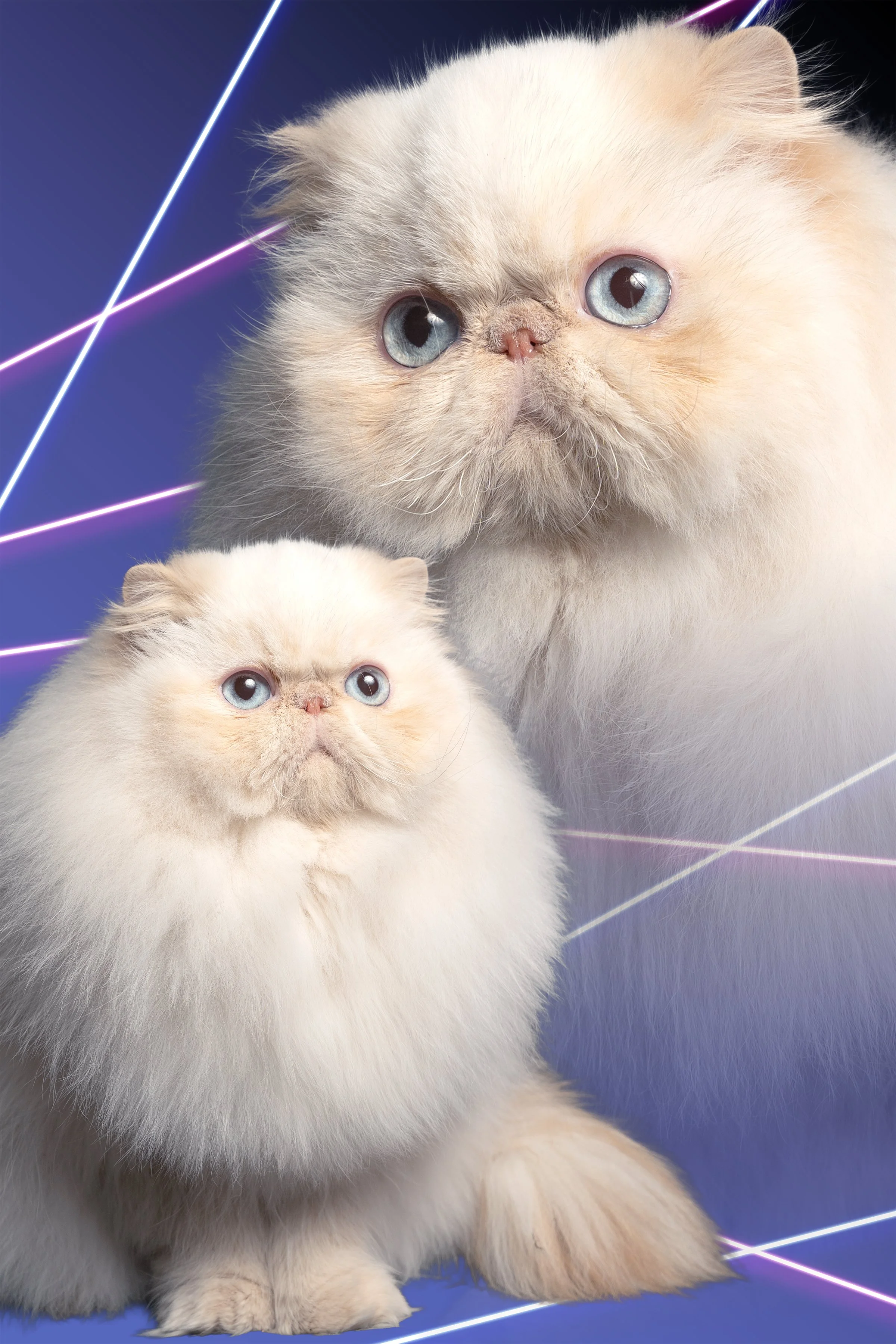 15 Krystal Zandbergen BONUS.jpg