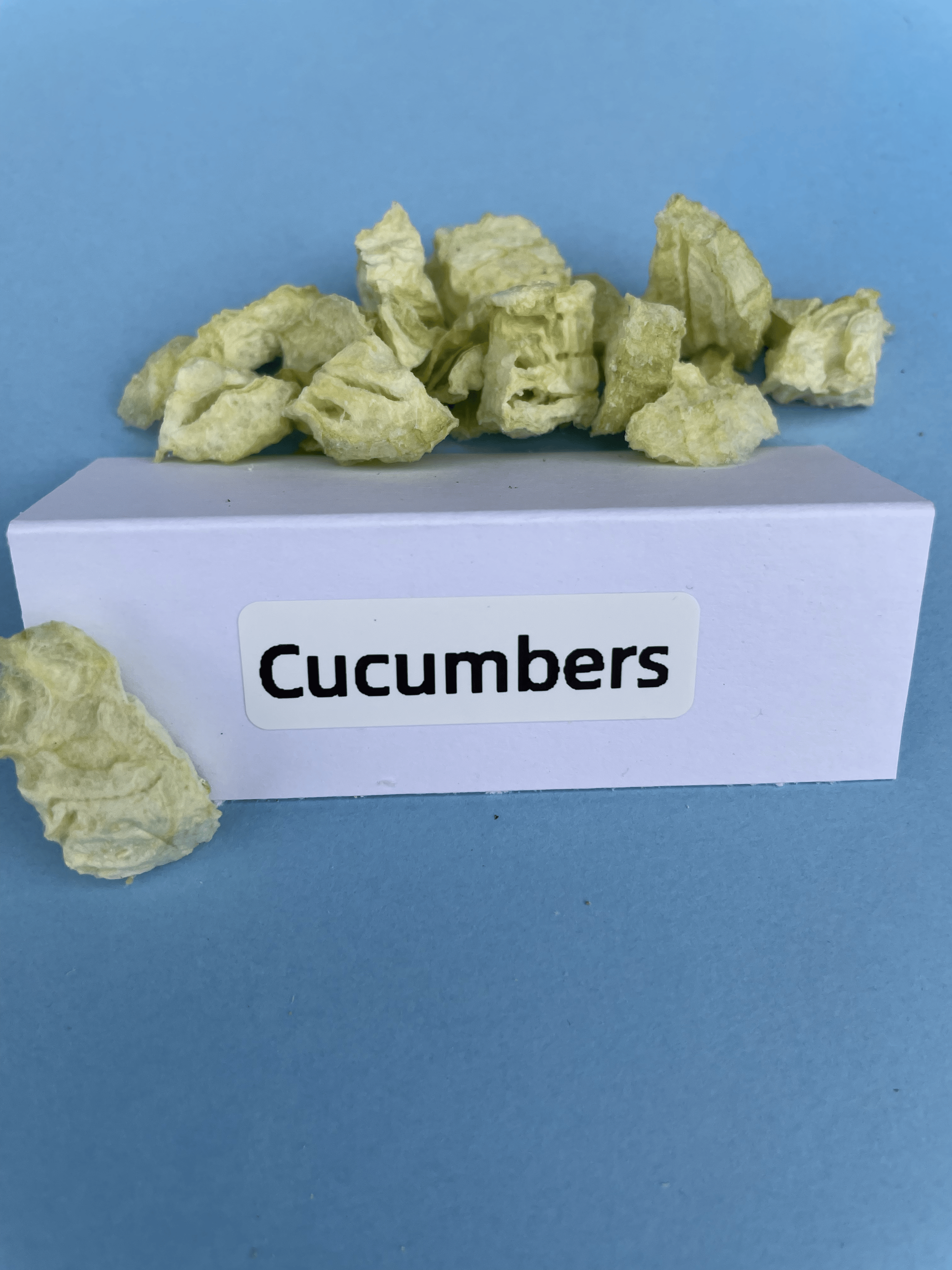 Freeze Dried Cucumbers