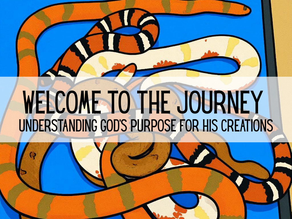 Welcome to the Journey