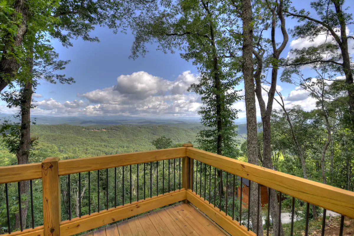 View from Back Porch.png