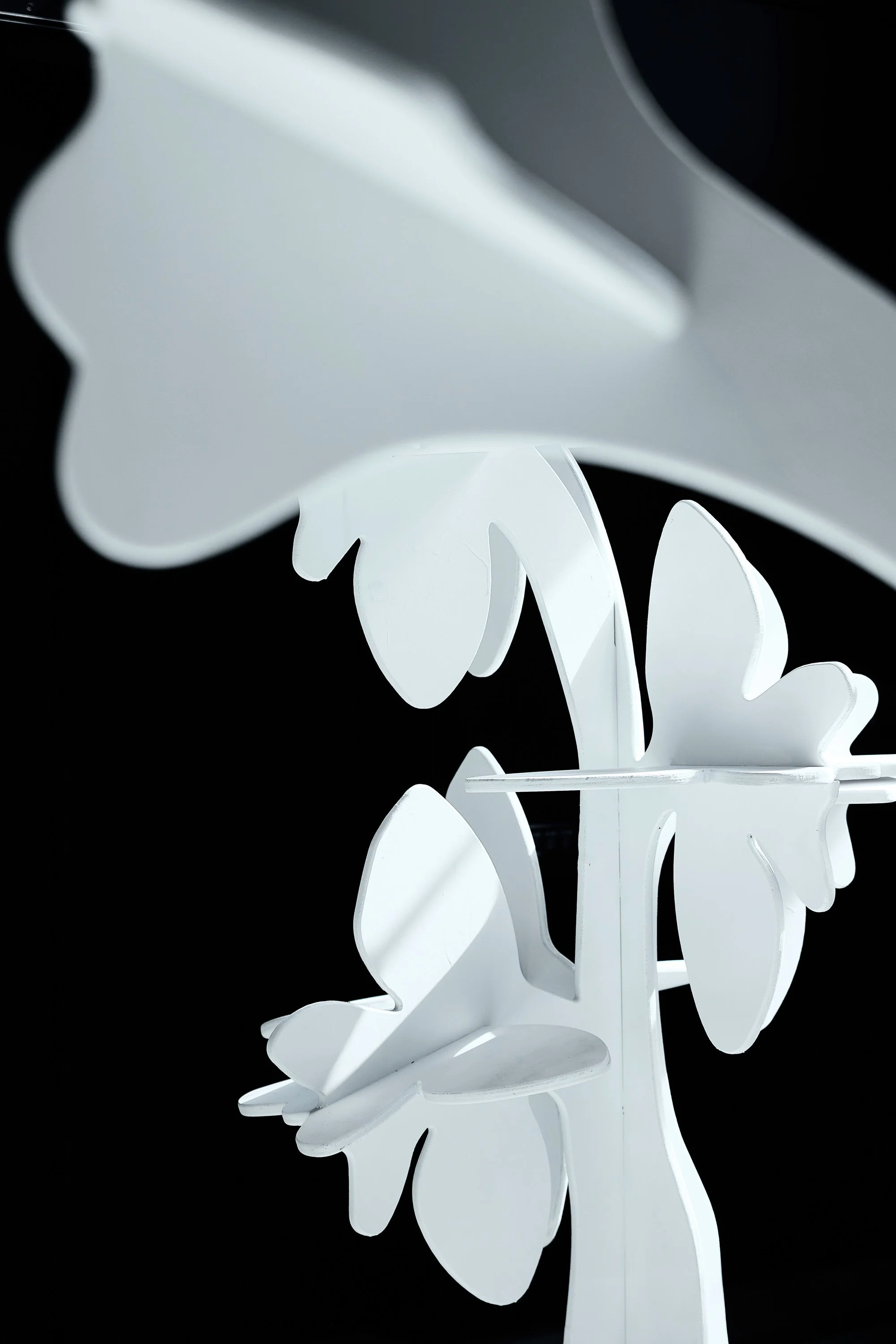 FX0A7444.jpg