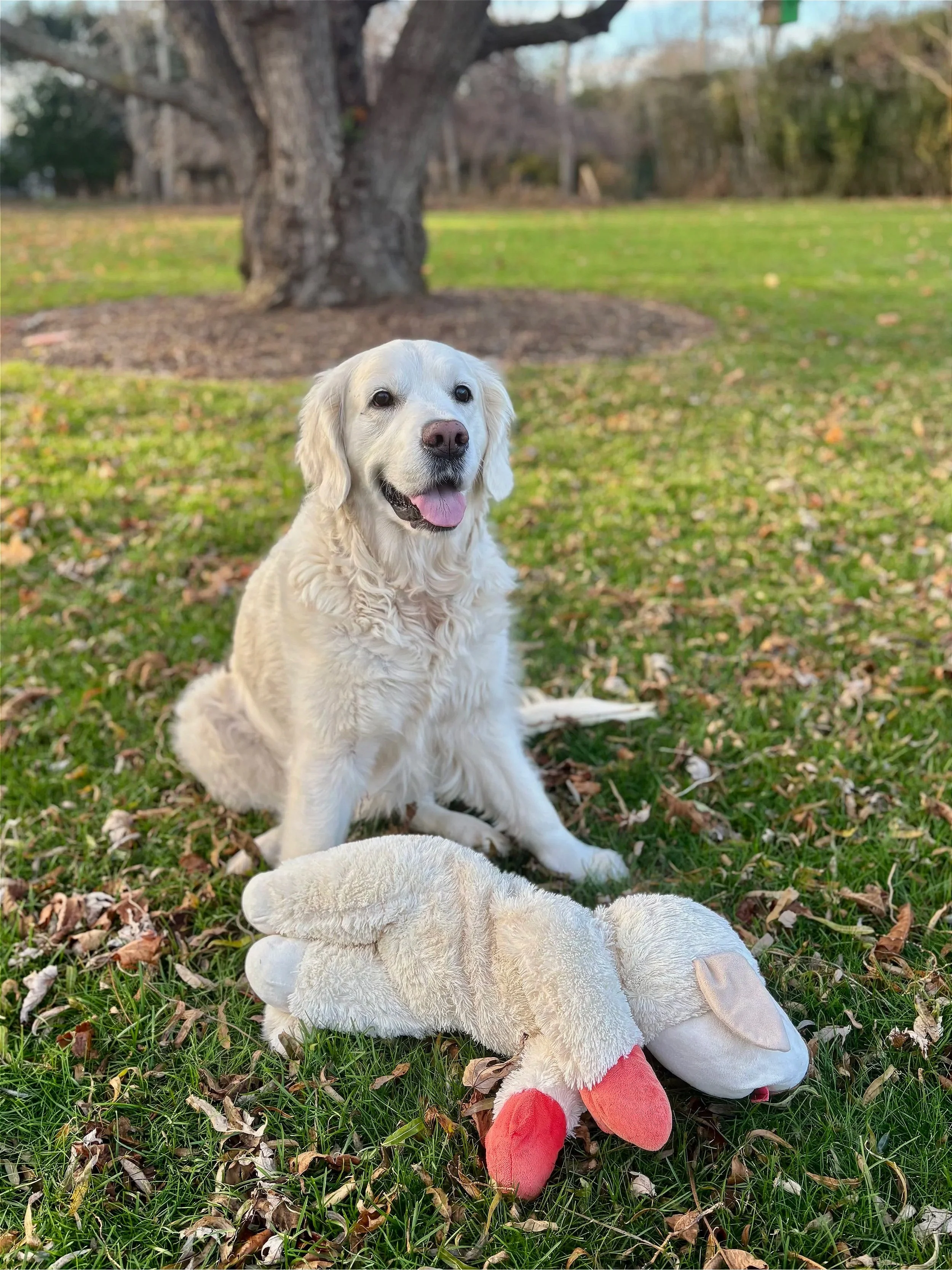 No explanation needed - she is the soul of the business and will do her best to welcome and entertain each guest.