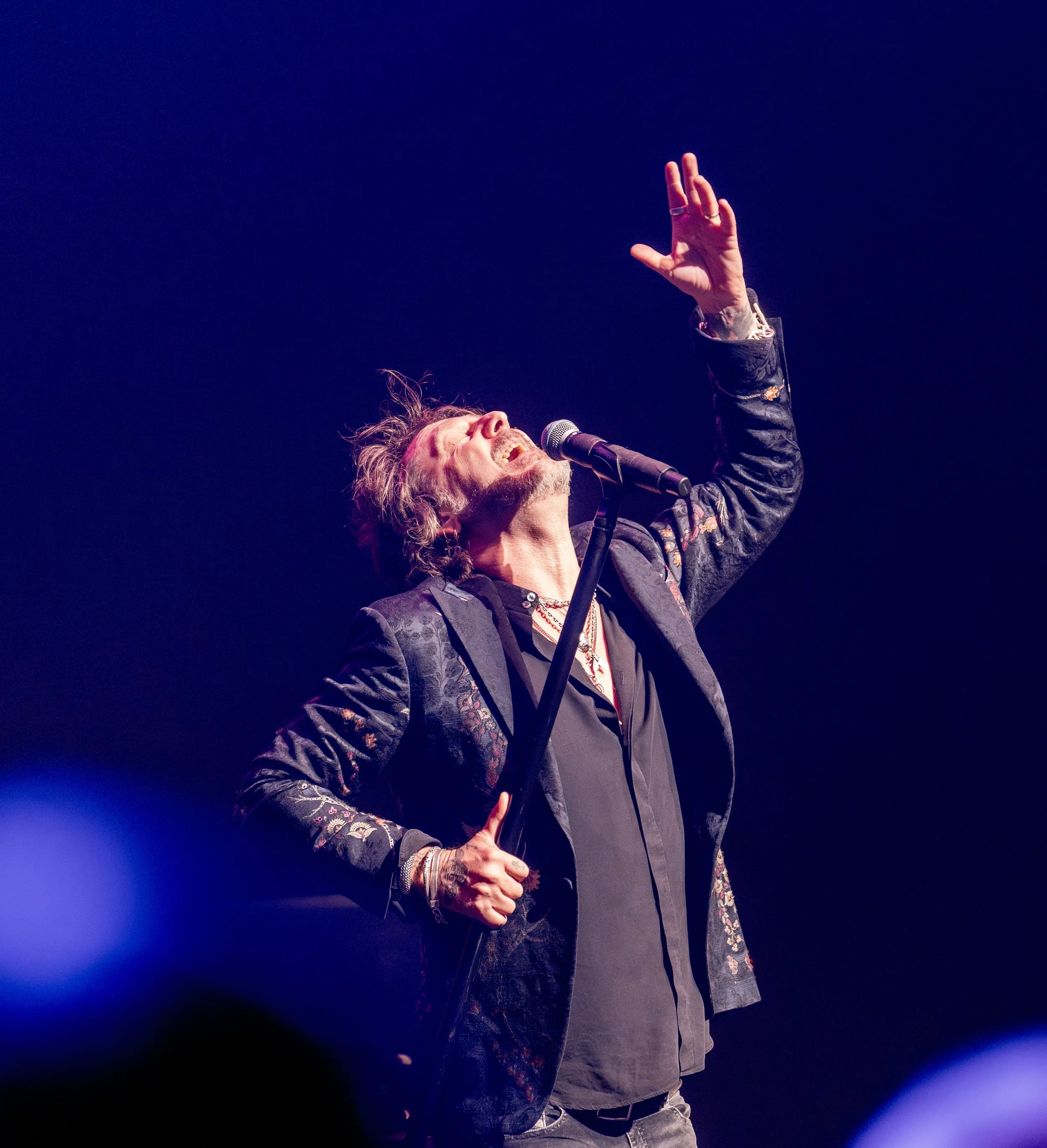 BlackCrows-40.jpg