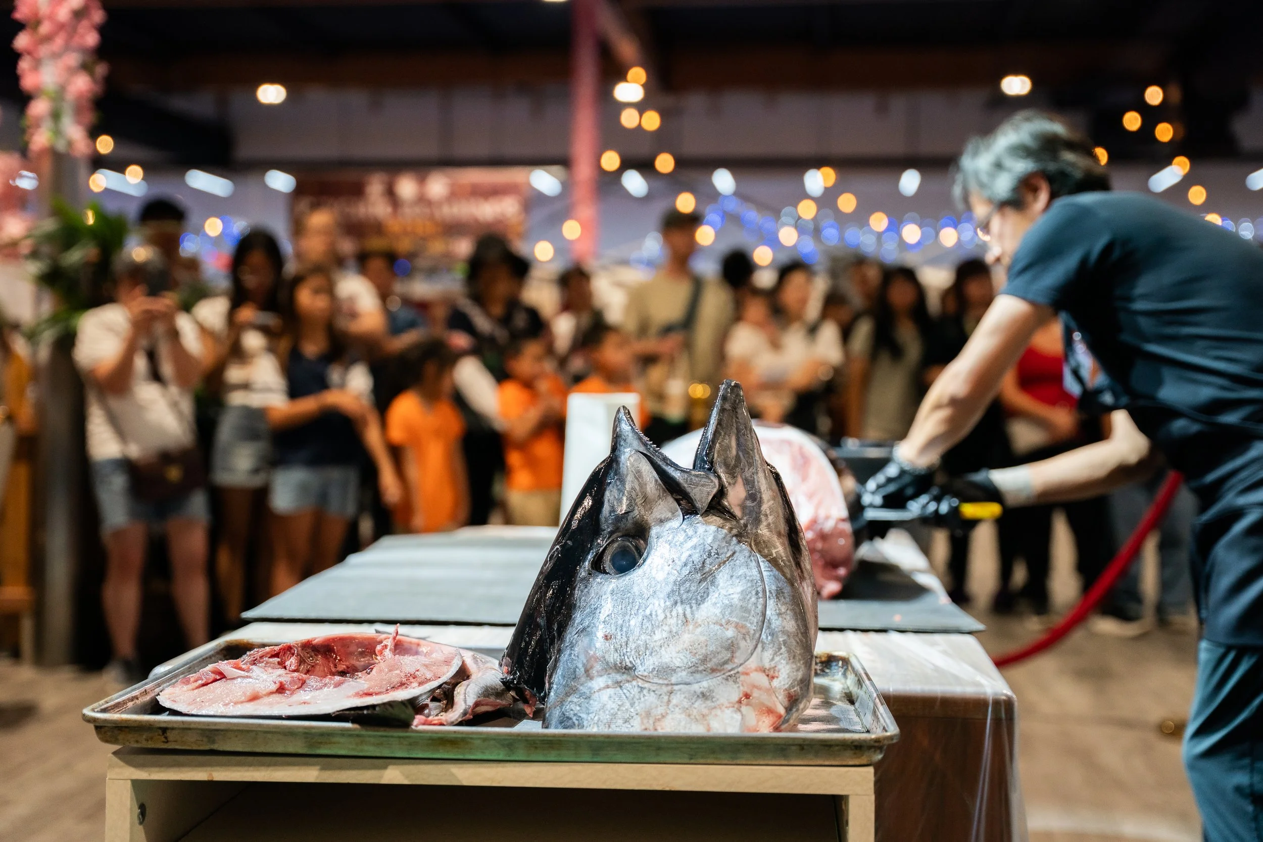 100 lb bluefin tuna flown in from Japan is being cut with a crowd of onlookers. The demonstration is done indoors with stringel lights in the background.