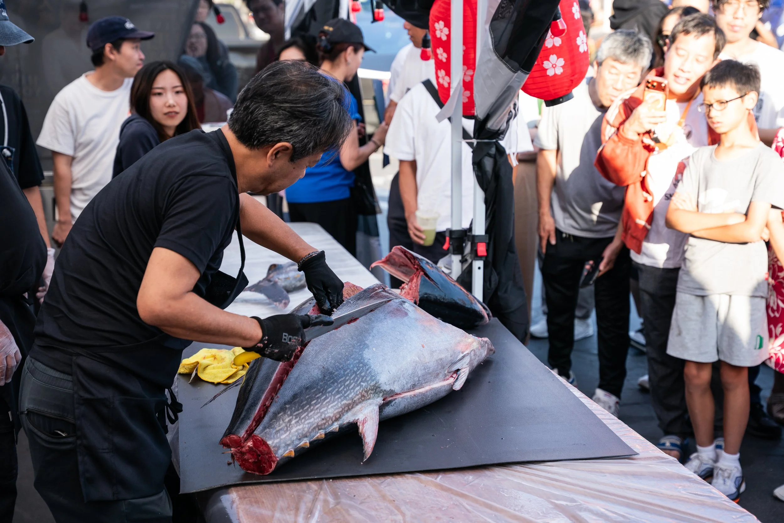 A crowd of people around the 150 lb fresh bluefin tuna cutting show at the OCLA Natsu Festival. The sushi chef with over 50 years of experience is demonstrating how to cut the bluefin tuna and serve the fresh sashimi ootoro and toro to customers at t