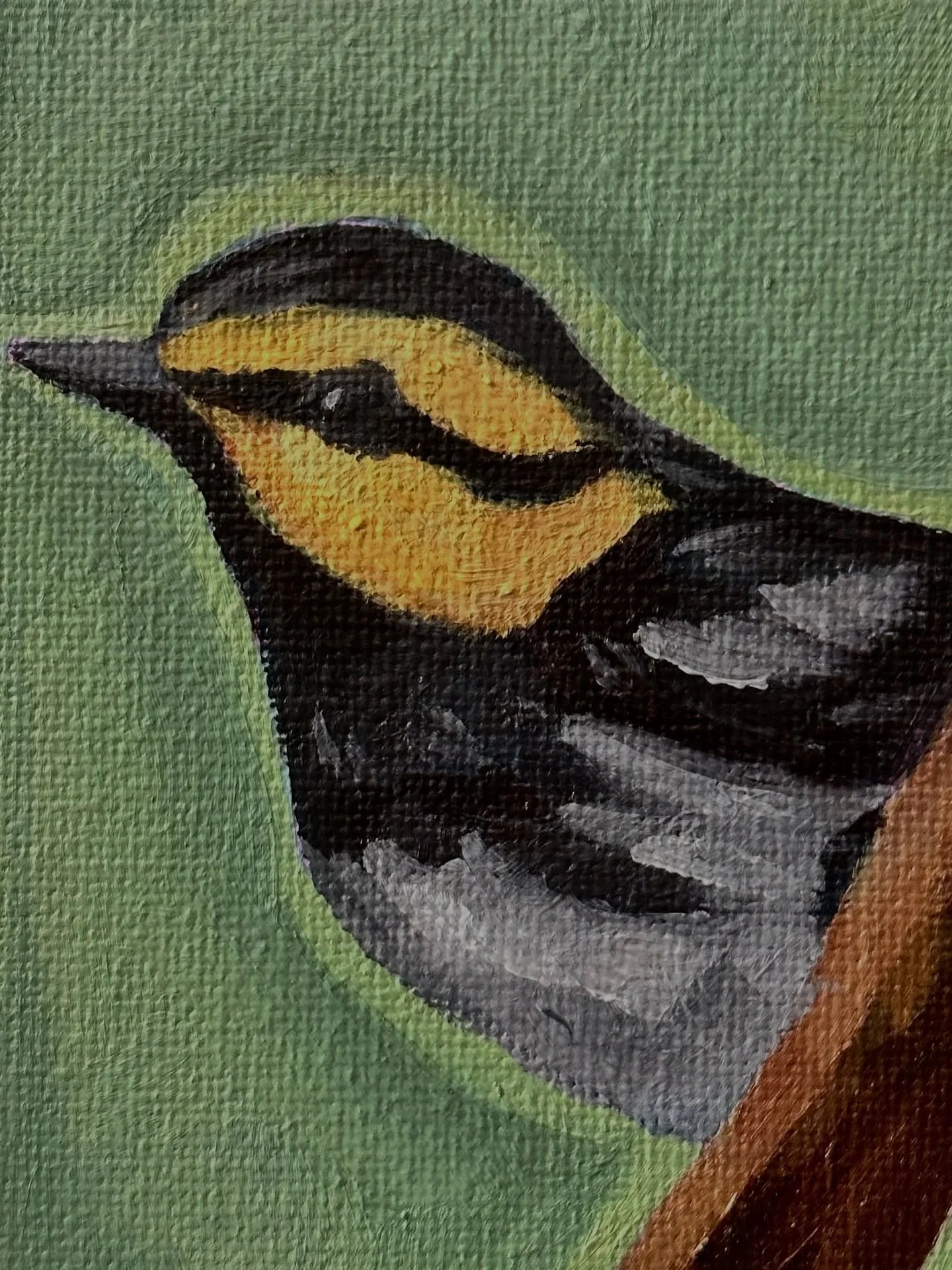 this is the first painting in my collection of Texas endangered/ threatened species. 

Here&rsquo;s a little excerpt from Texas Parks and wildlife  website on the golden cheek warbler - 

&ldquo;Golden-cheeked warblers nest only in central Texas mixe