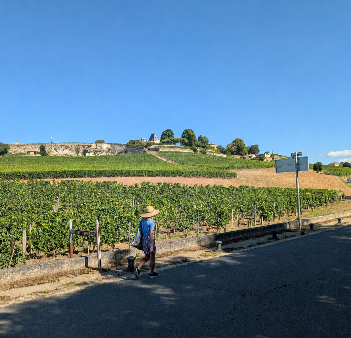 St+Emilion+Walk.png
