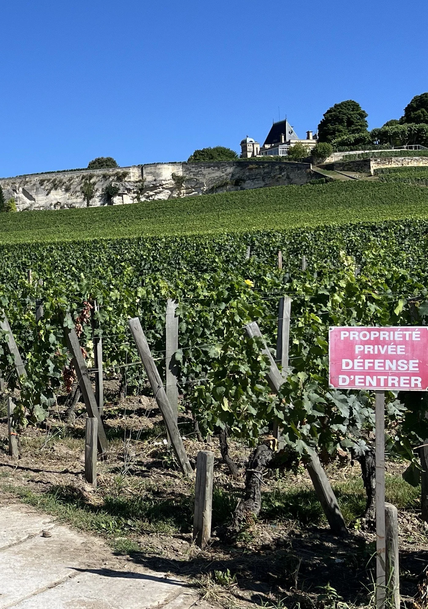 Right Bank Grands Crus Experience: Pomerol and St-Émilion (Priced Per Group)