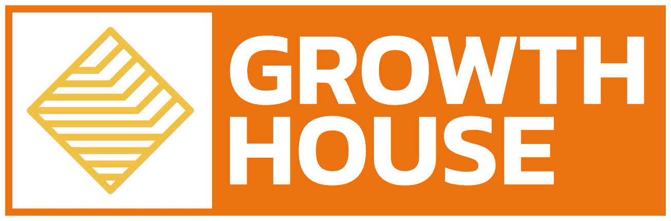 Business Consulting / Fractional Services