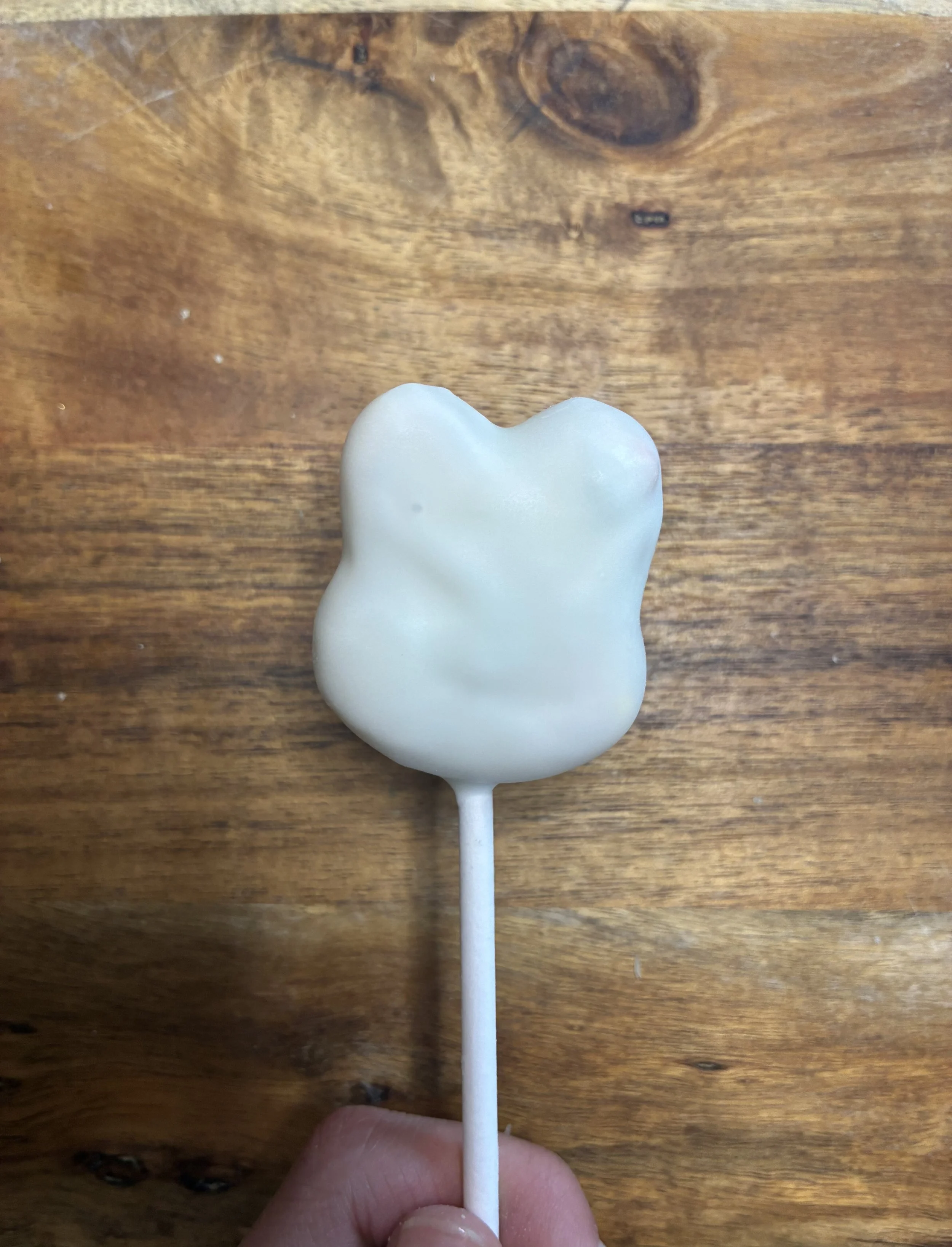 Rabbit Cake Pops