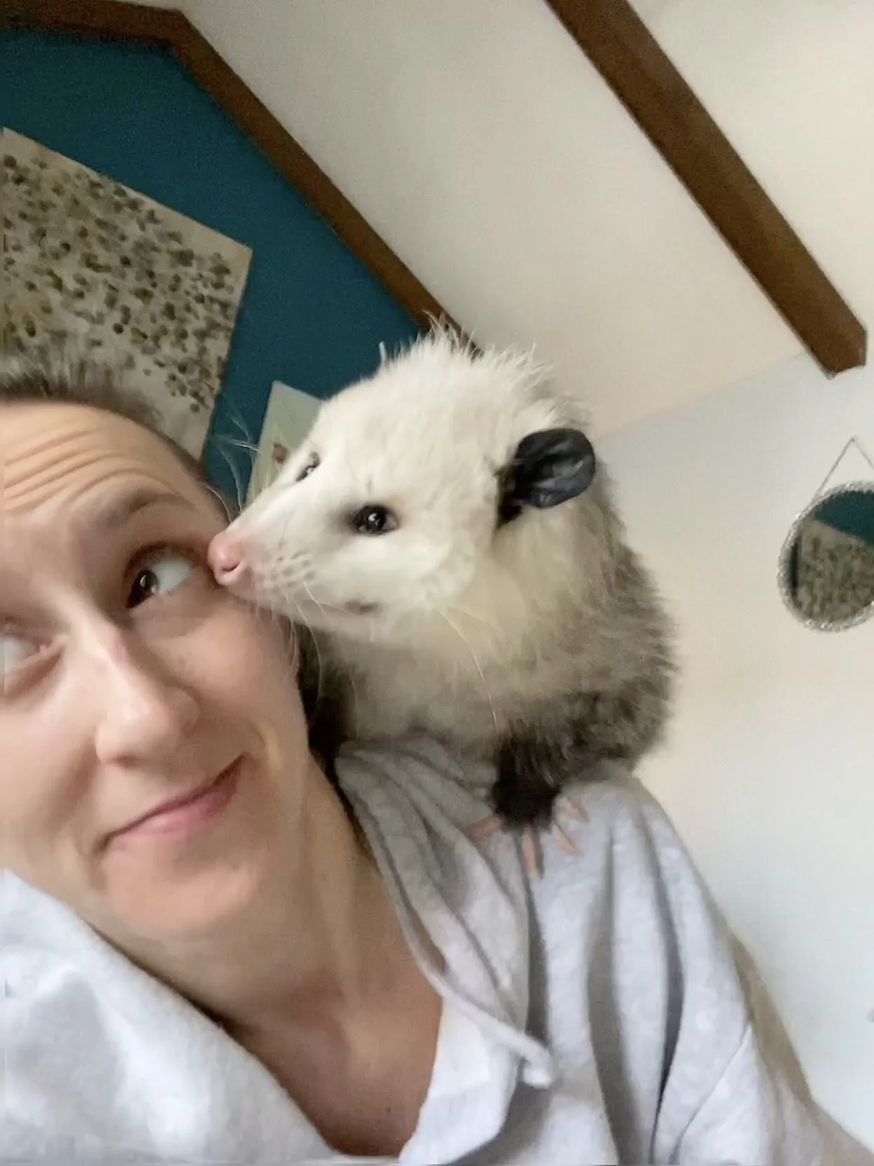 A woman with brown hair and a striped shirt makes a playful face while a white ferret with black ears plays with her nose.
