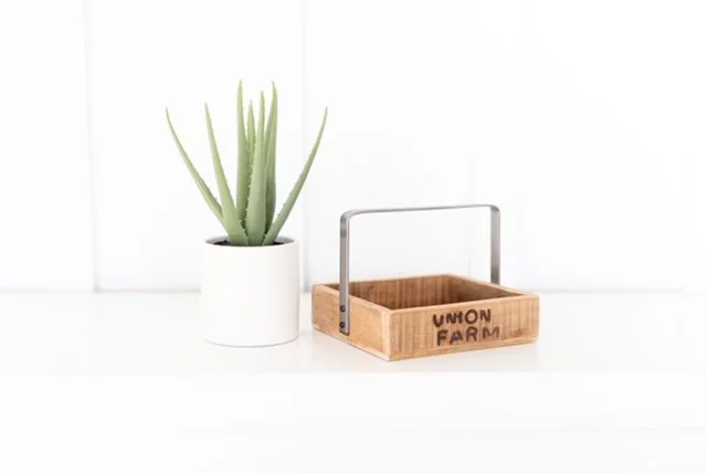 The Mille Jane 1.JPG