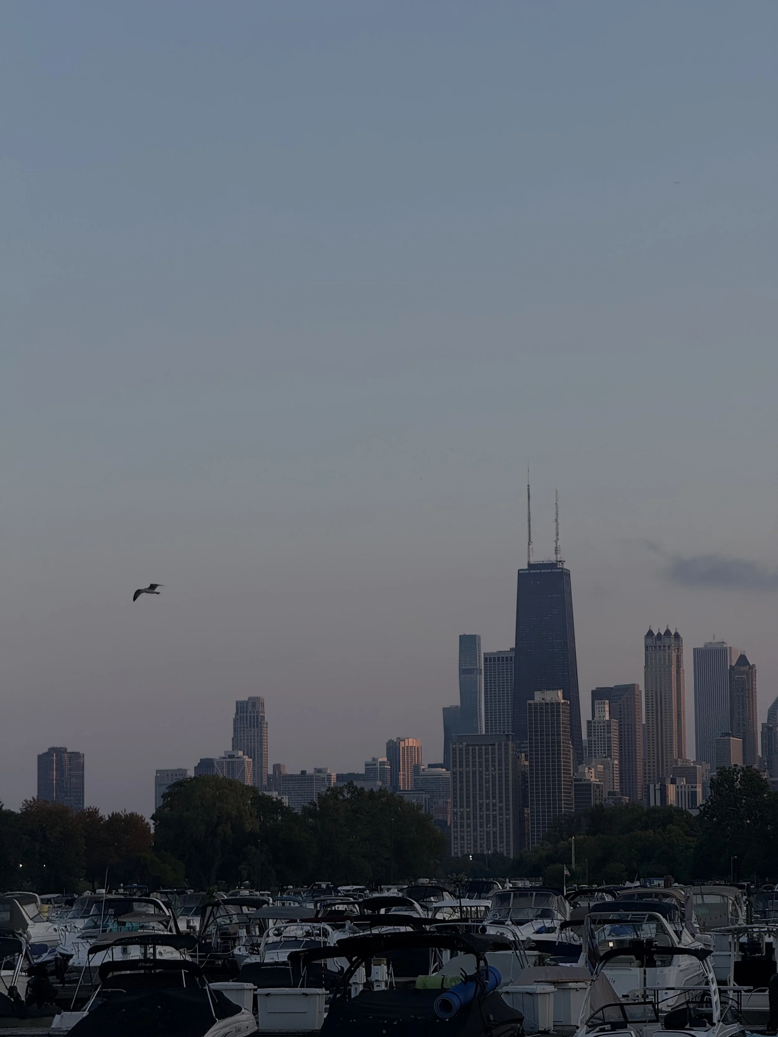As a true Chicagoland girl, Eve enjoys spending time down by the lake