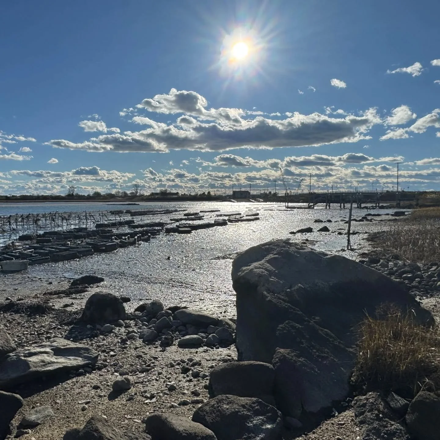 Low tide, moon tide.
