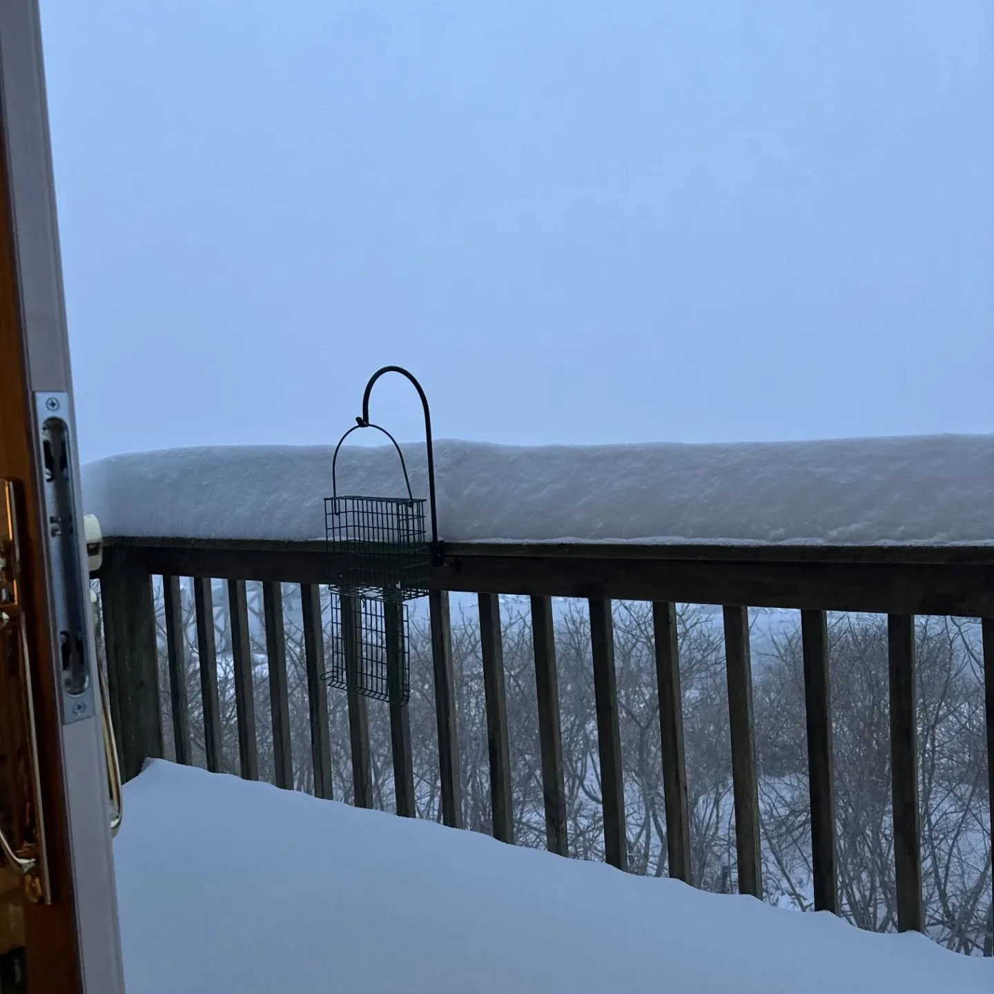 Obligatory winter storm snow post. Some drifts are over 10 feet high and have been seen swallowing grown men whole.