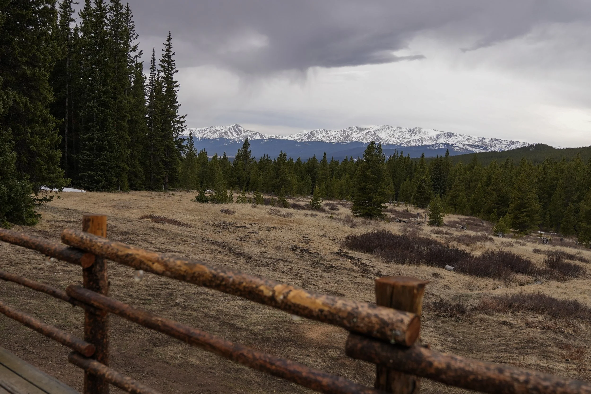 View of snow-capped mountains under cloudy sky, with a forest of pine trees in the foreground and a rusted metal railing at the bottom.