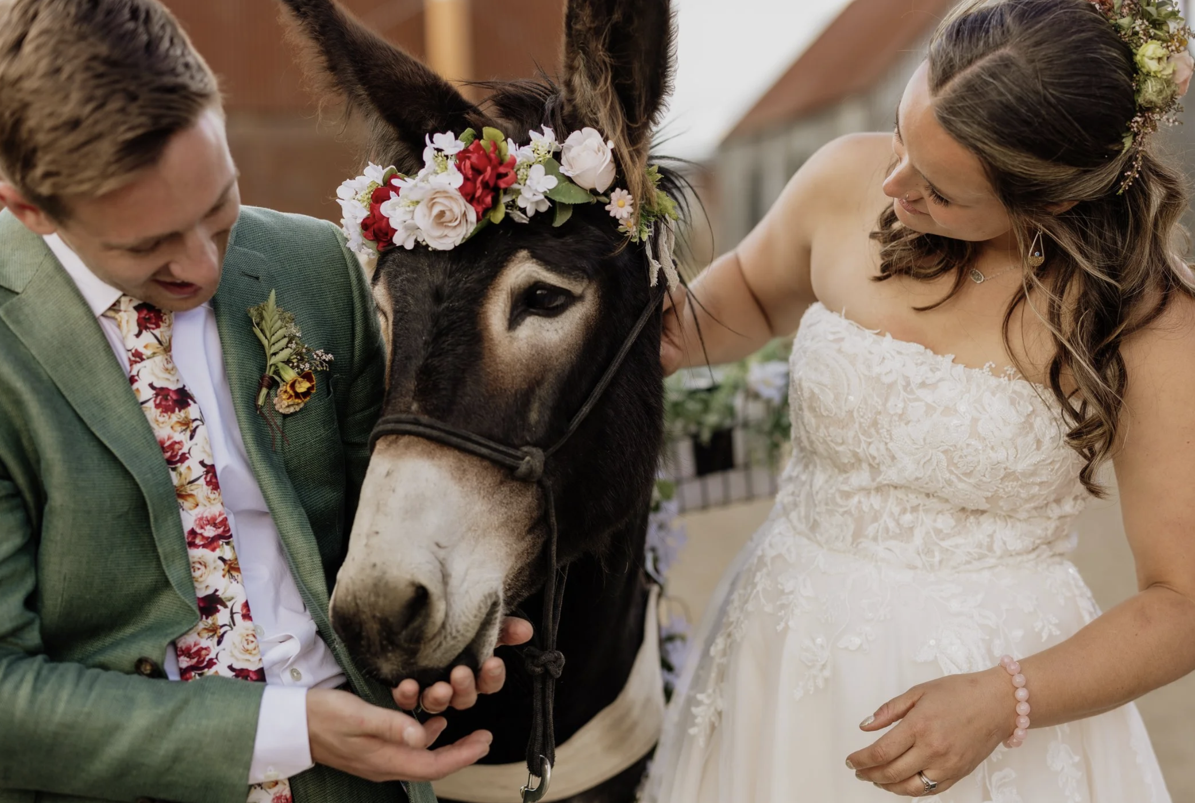 A couple dressed in wedding attire, with a woman wearing a white lace wedding dress and a man in a green suit with a floral tie, are holding a donkey's head adorned with a flower crown. The couple is smiling and looking at the donkey during the wedding celebration.