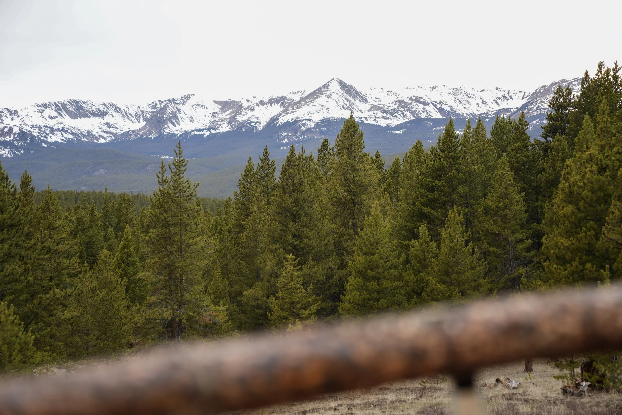 View of snow-capped mountains in the distance, lush green pine trees in the foreground, seen through a blurry wooden fence.