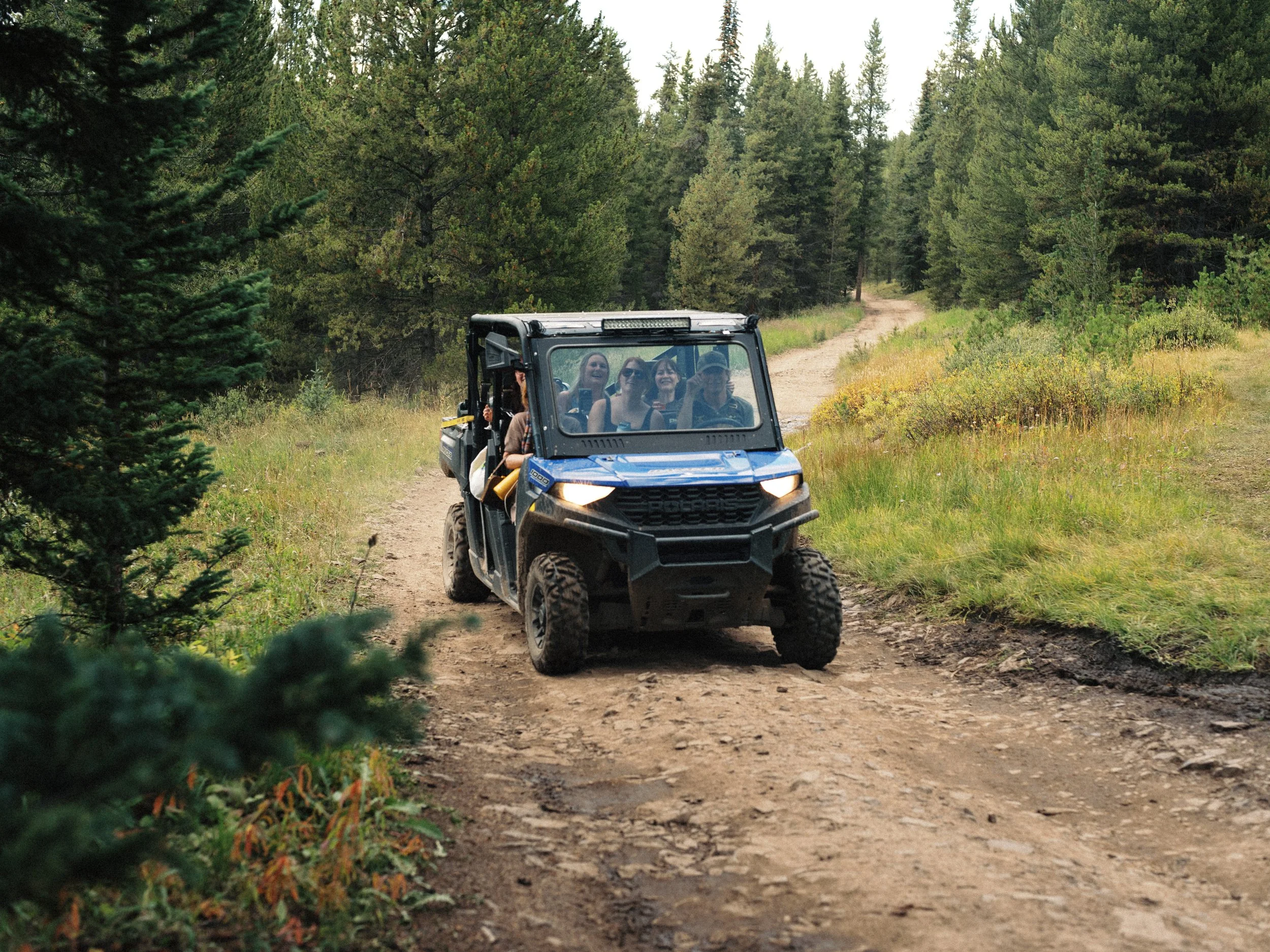 A group of people riding in a side-by-side off-road vehicle on a dirt trail through a forest with tall green trees.