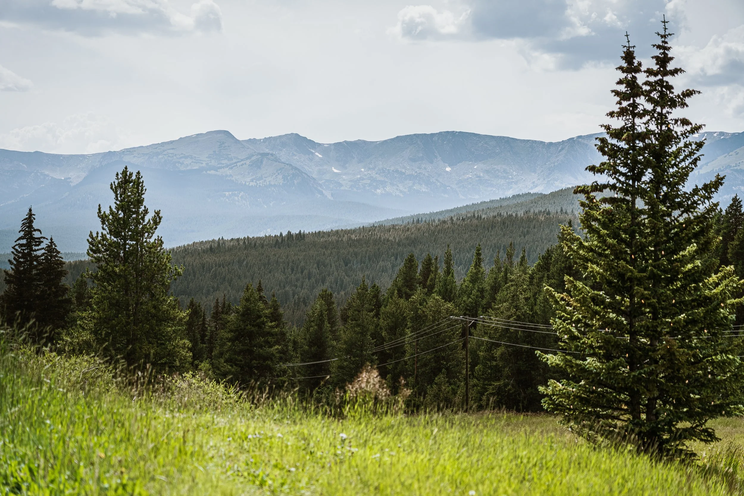 A scenic view of a forested mountain landscape with green trees in the foreground and mountain peaks in the background under a cloudy sky.