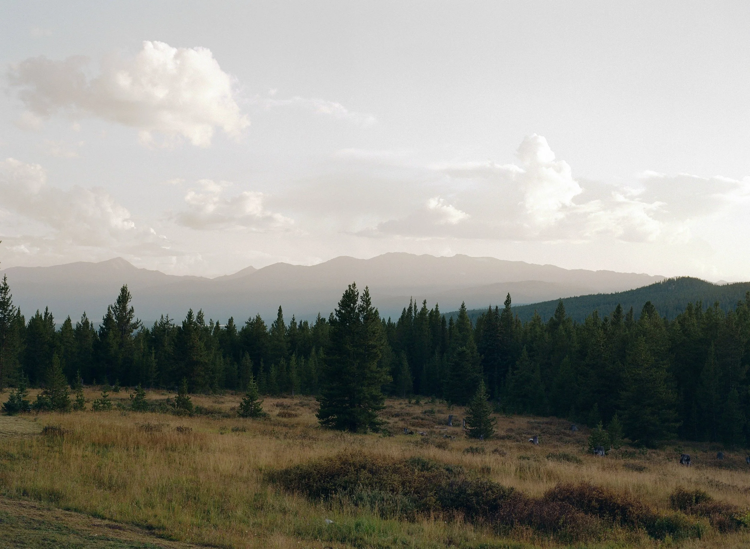A scenic landscape featuring a forest of pine trees in the foreground, rolling hills and mountains in the background, and a partly cloudy sky overhead.