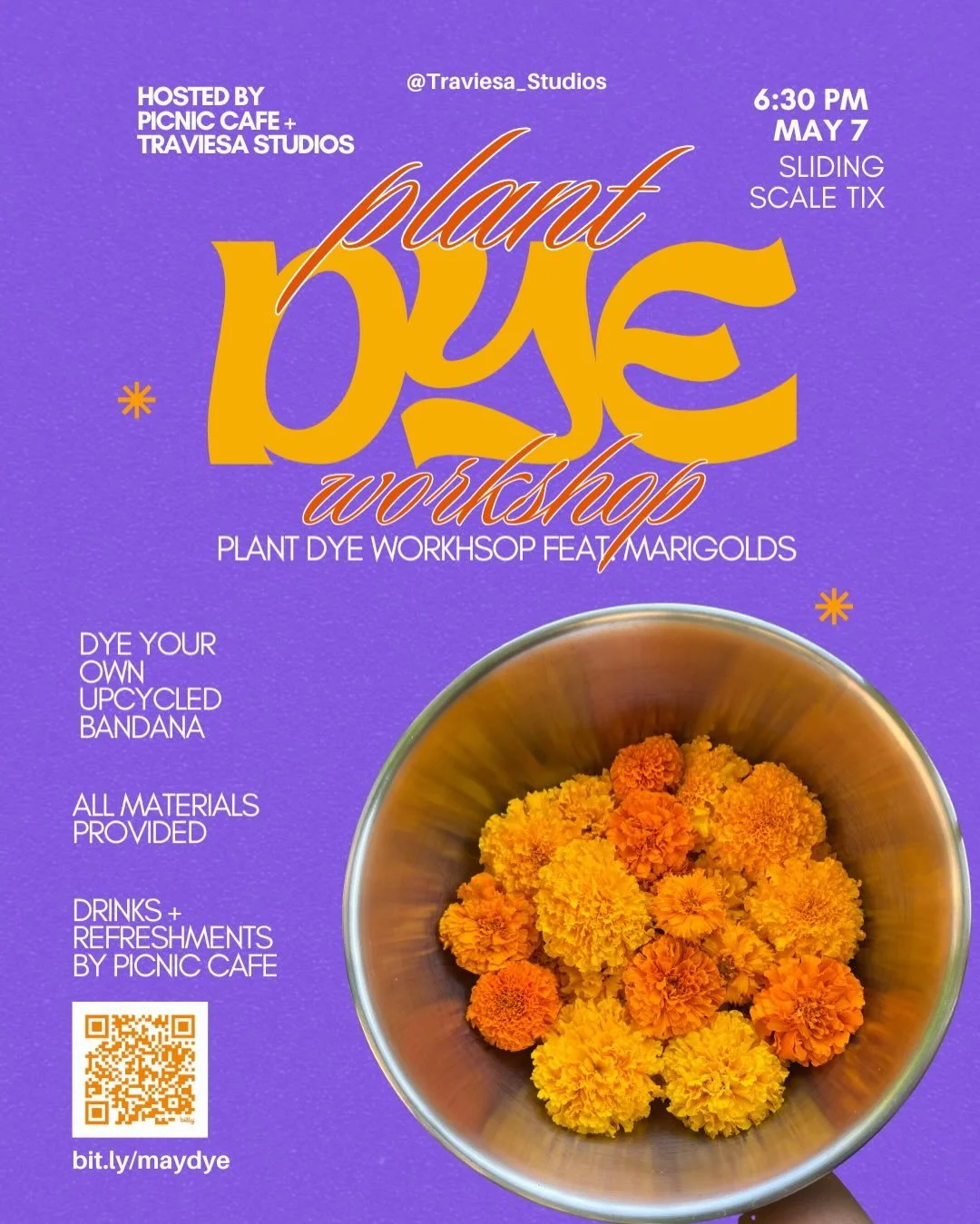 Plant Dye Workshop 