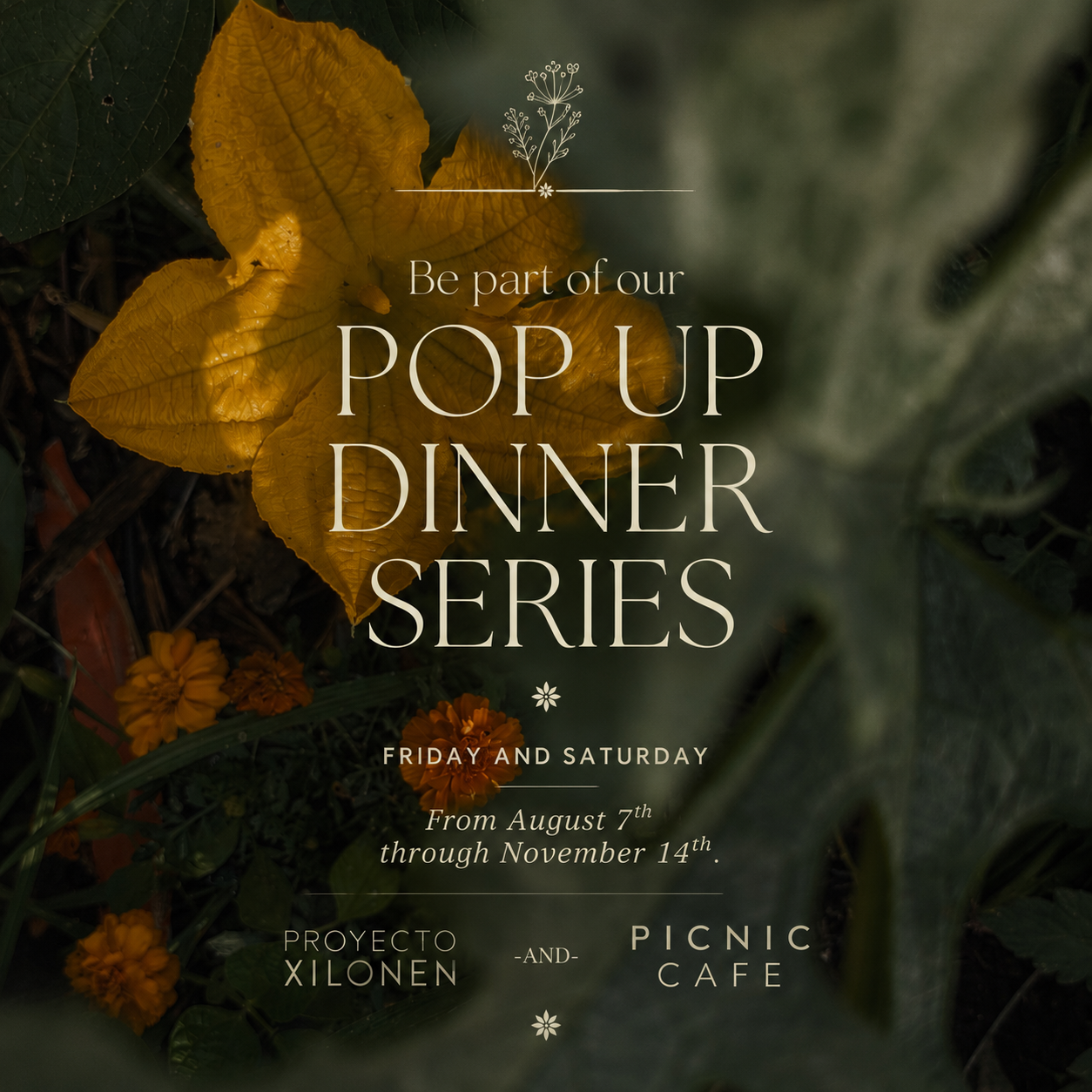 Xilonen Dinner