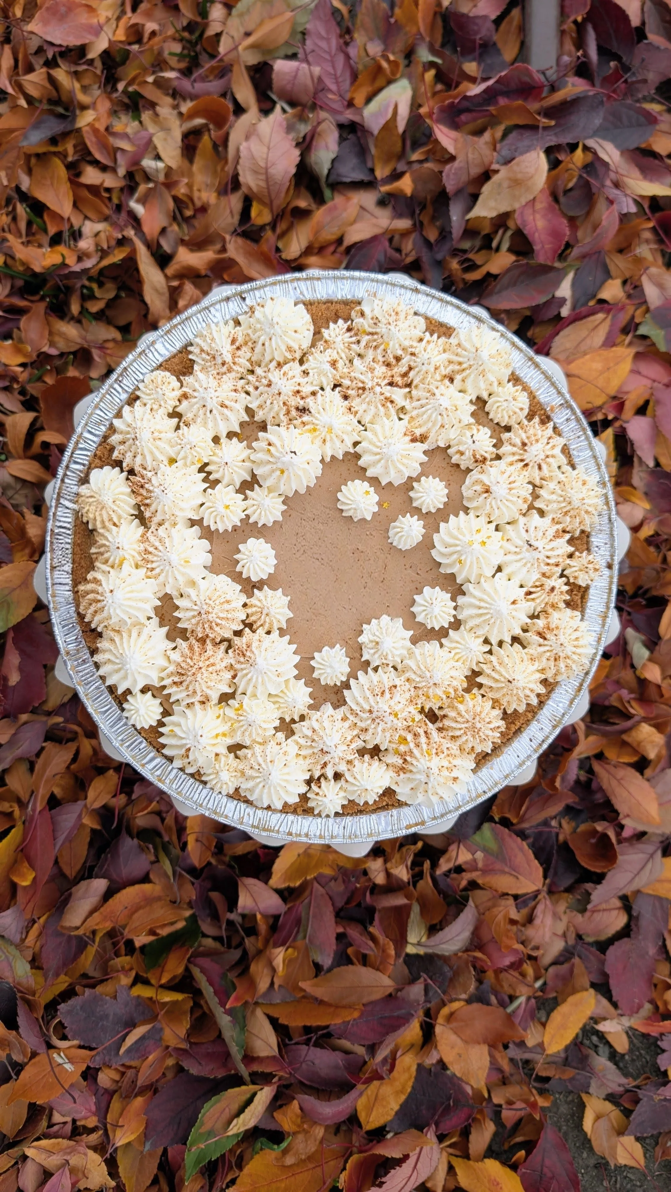 Vietnamese Coffee Pie (Special)