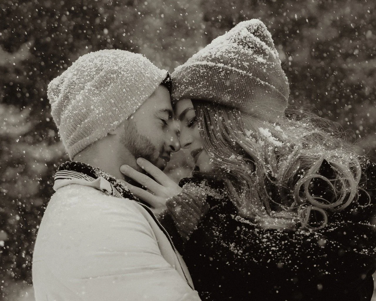 IMG_2013-2 Large.jpeg