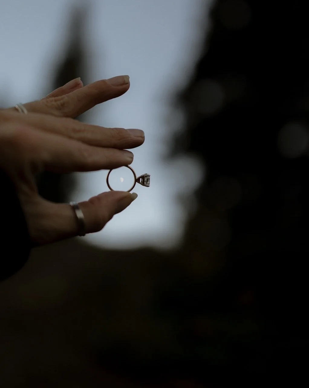 2N7A6617-Edit Large.jpeg