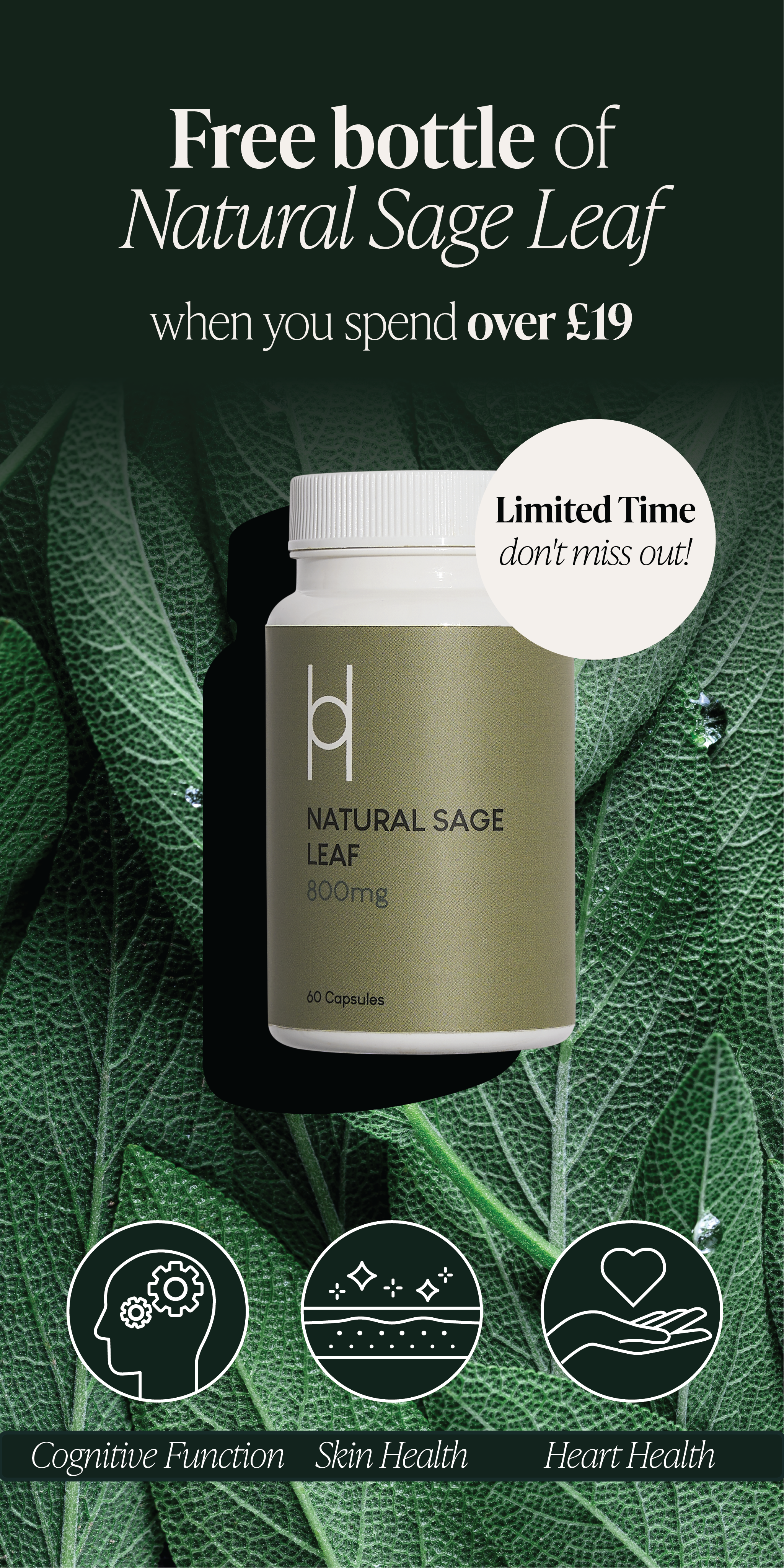 Natural Sage Leaf_Mobile_Banner copy 2@2x.png