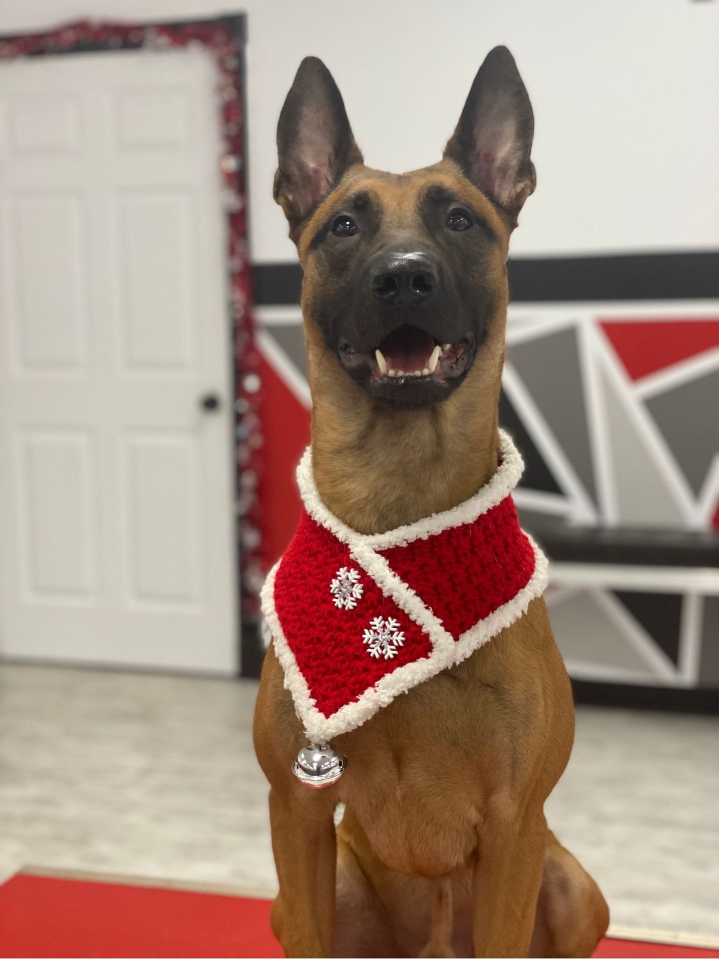 Happy New Year&rsquo;s Eve! 🎉 🎈 

Wishing you all a Happy New Year to come! 🥂 

First 10 clients of the #NewYear get a SPECIAL 20% off their purchased training package with us! 

Get your dog enrolled today and..
START THE NEW YEAR OFF RIGHT! ! 🙌