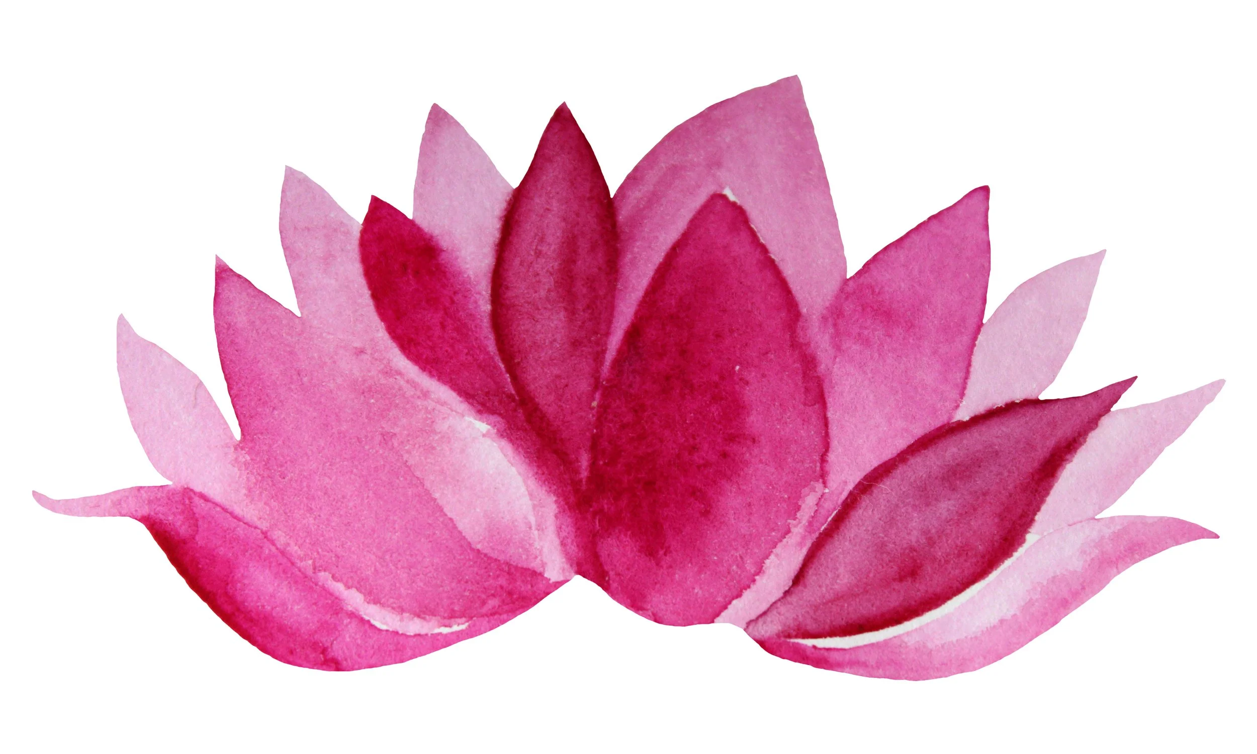 lotus flower represents overcoming adversity, rebirth, strength, awakening