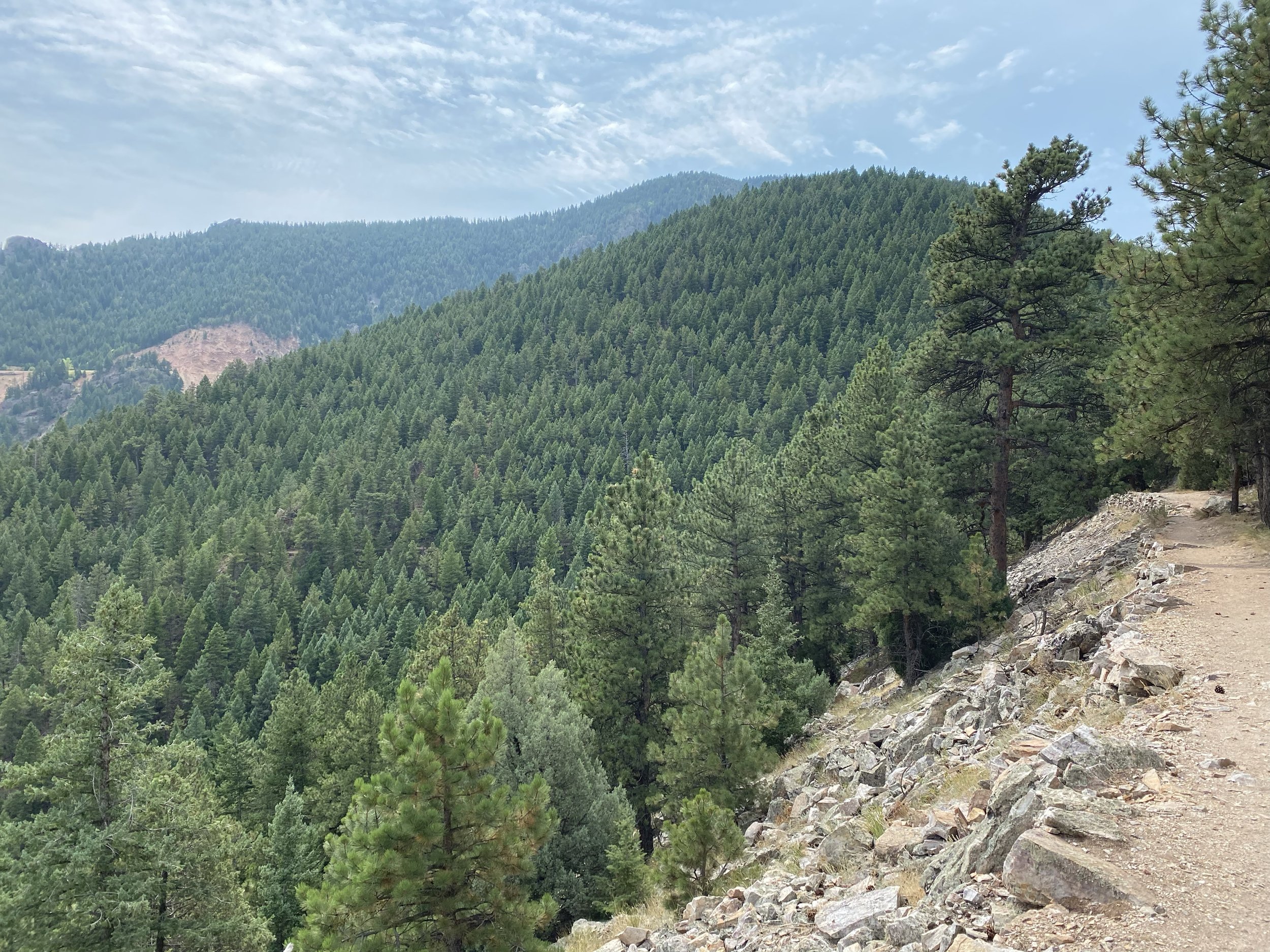A dirt trail running along the edge of a mountain, surrounded by green pine trees, with a mountain range and a partly cloudy sky in the background.