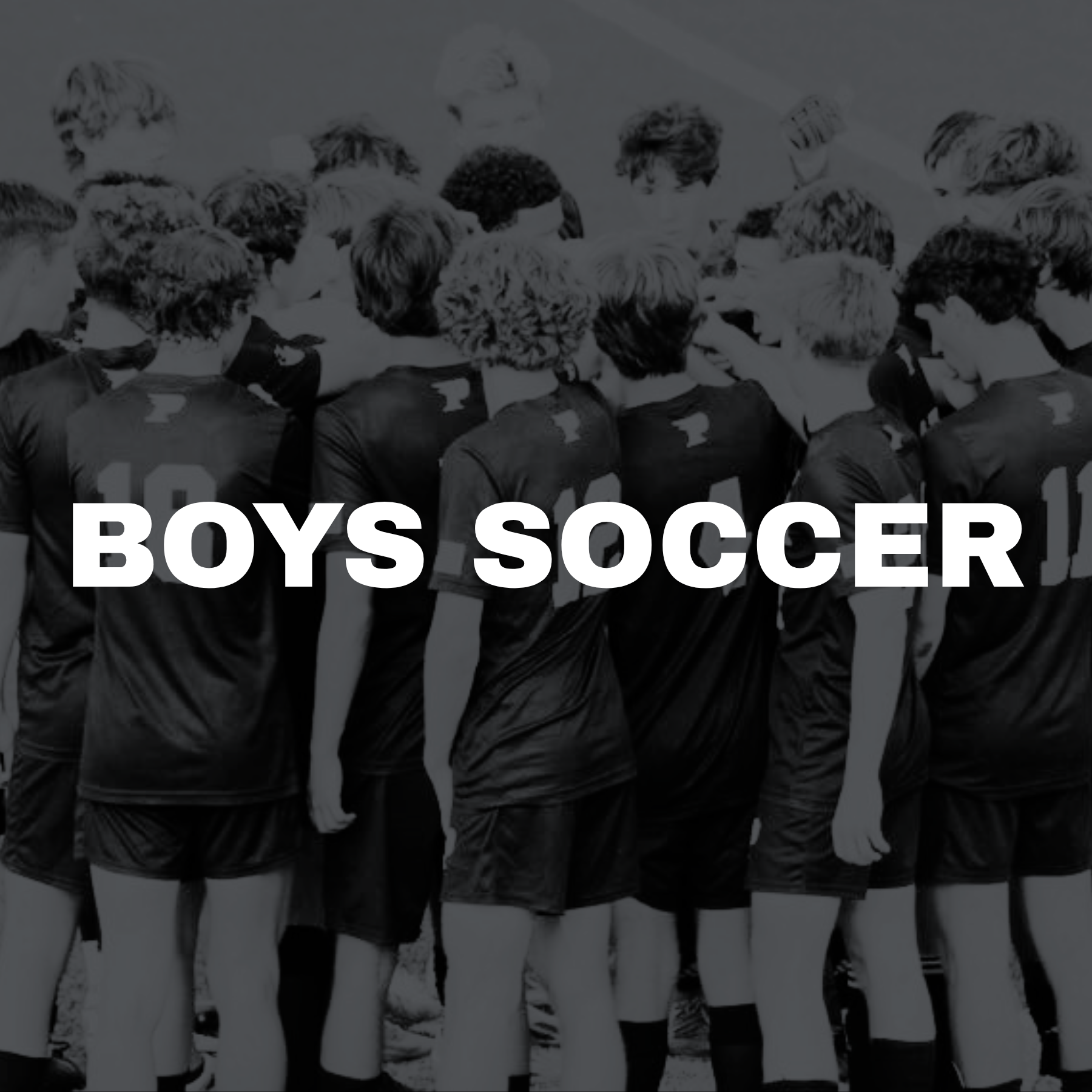 Pinecrest Website Graphics.png