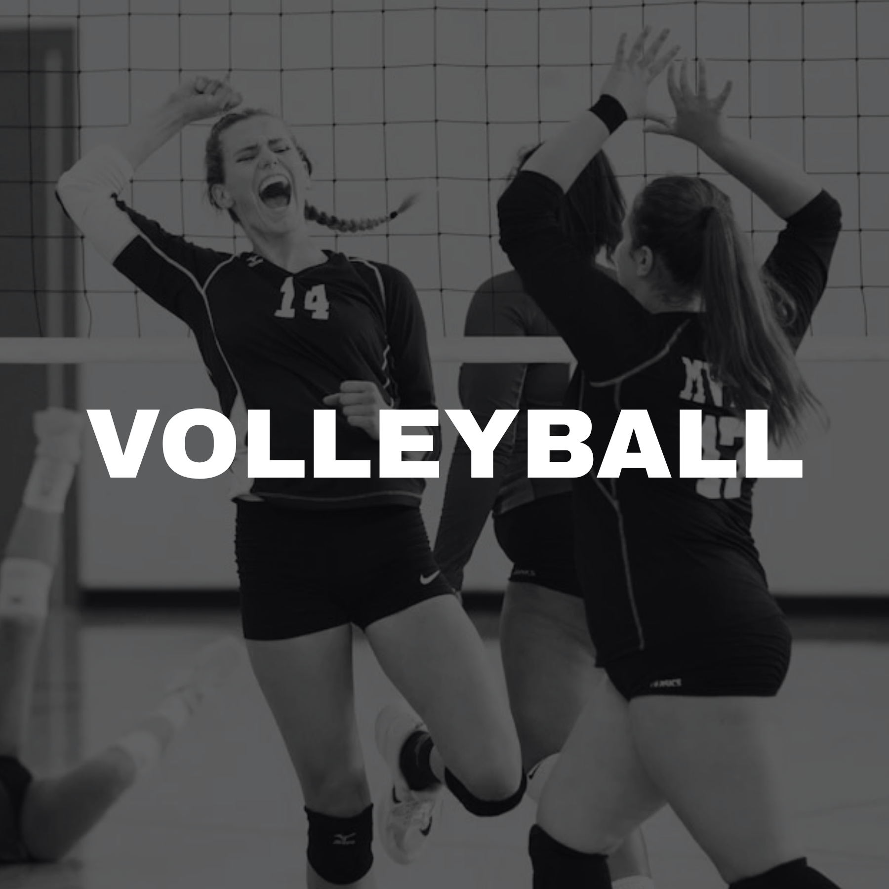 Pinecrest Website Graphics (1).png