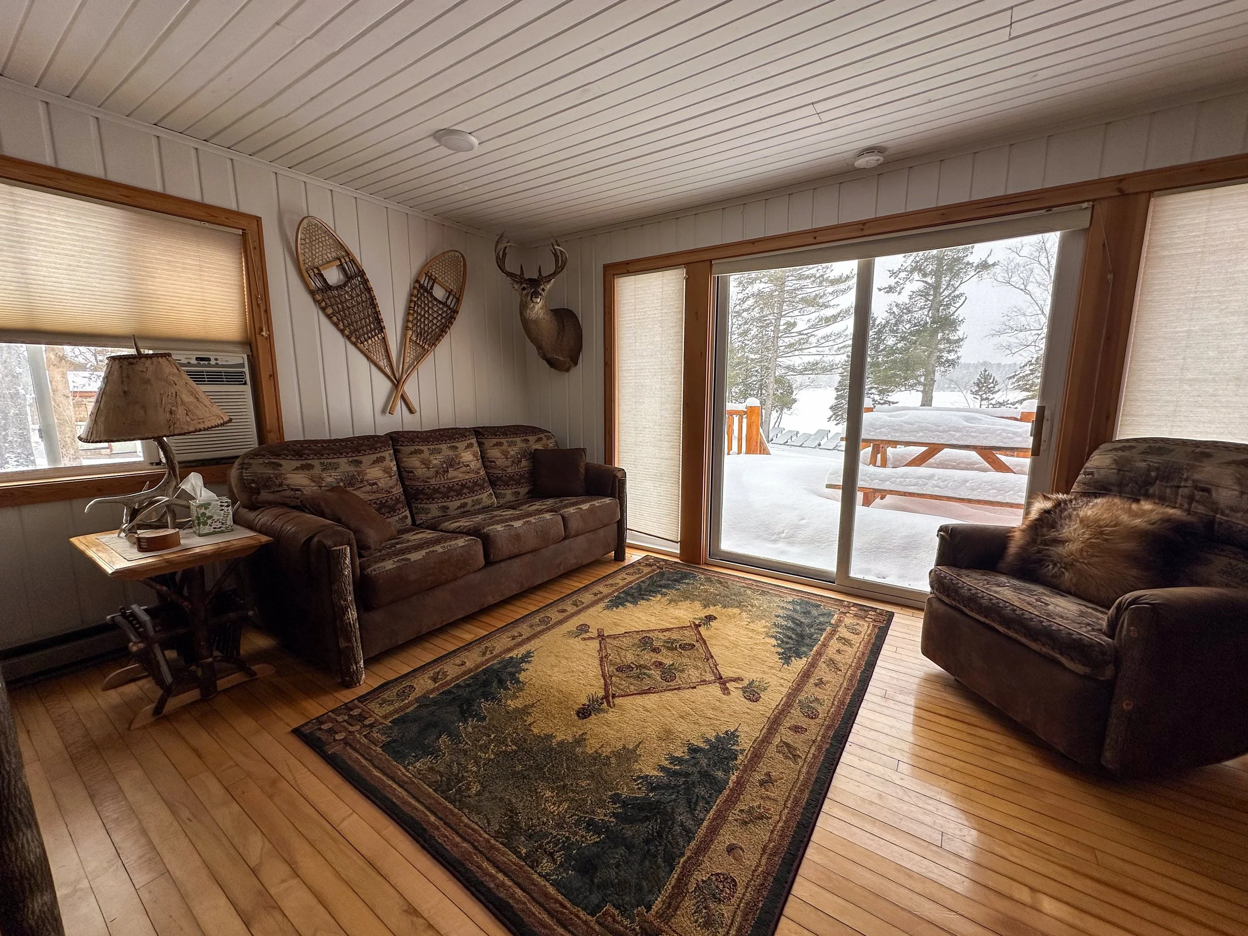 Living room with a brown couch and a matching armchair, a decorative rug, a table with a lamp, snow outside the sliding glass door, and mounted decor including snowshoes and a deer head.