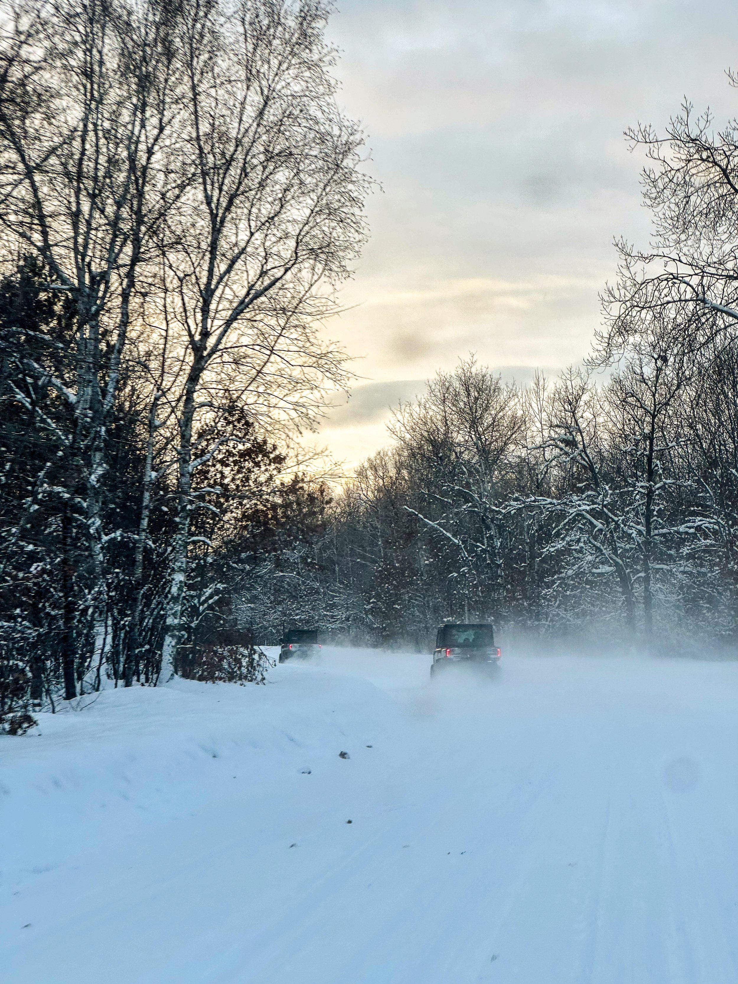 A snowy landscape with a snow-covered road and two vehicles driving on it, surrounded by leafless trees under a cloudy sky.