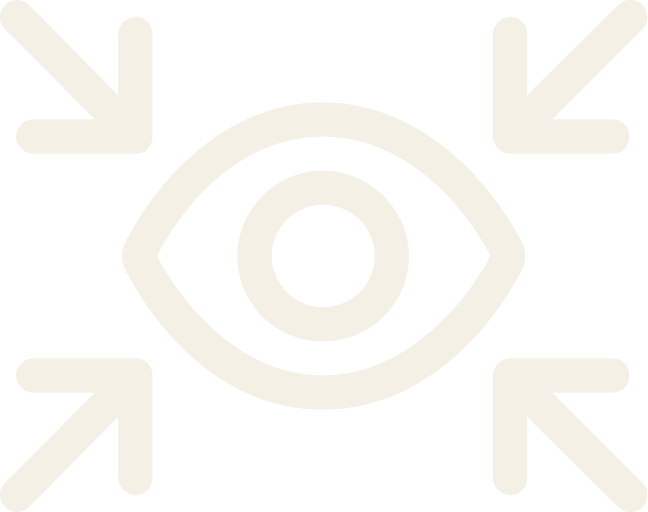Icon of an eye with four arrows pointing toward it from the corners, symbolizing focus or attention.